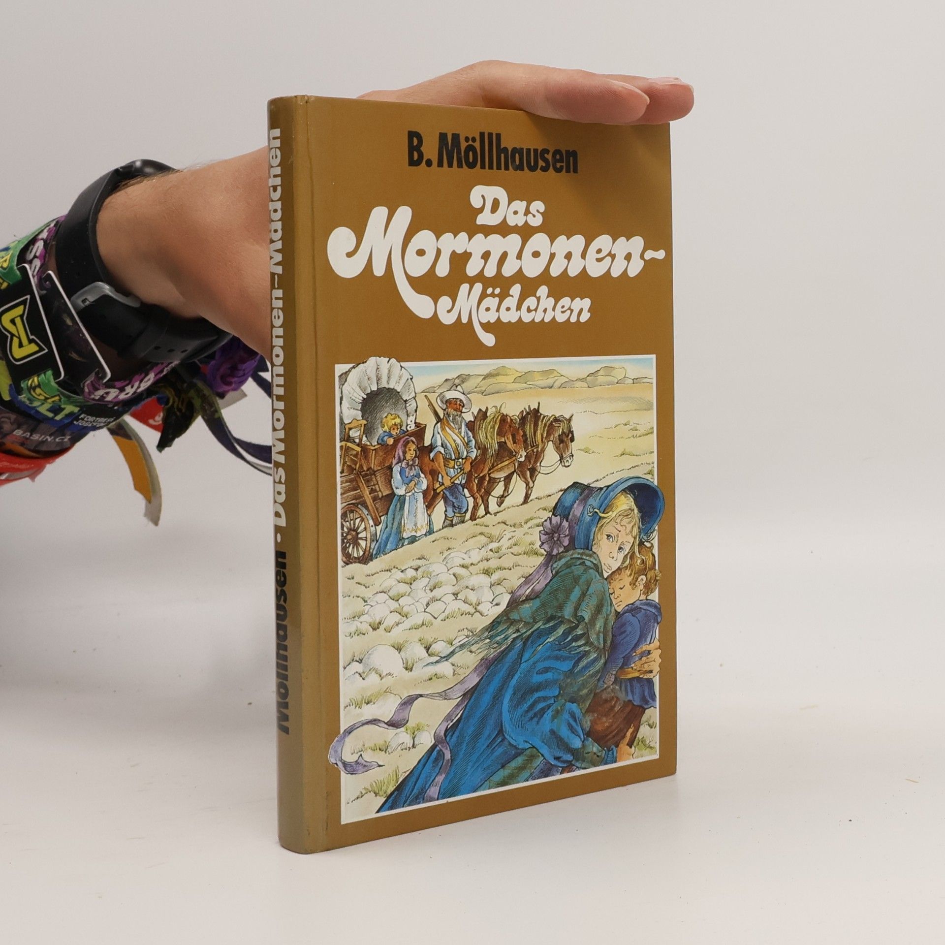 Balduin Möllhausen Das Mormonenmädchen