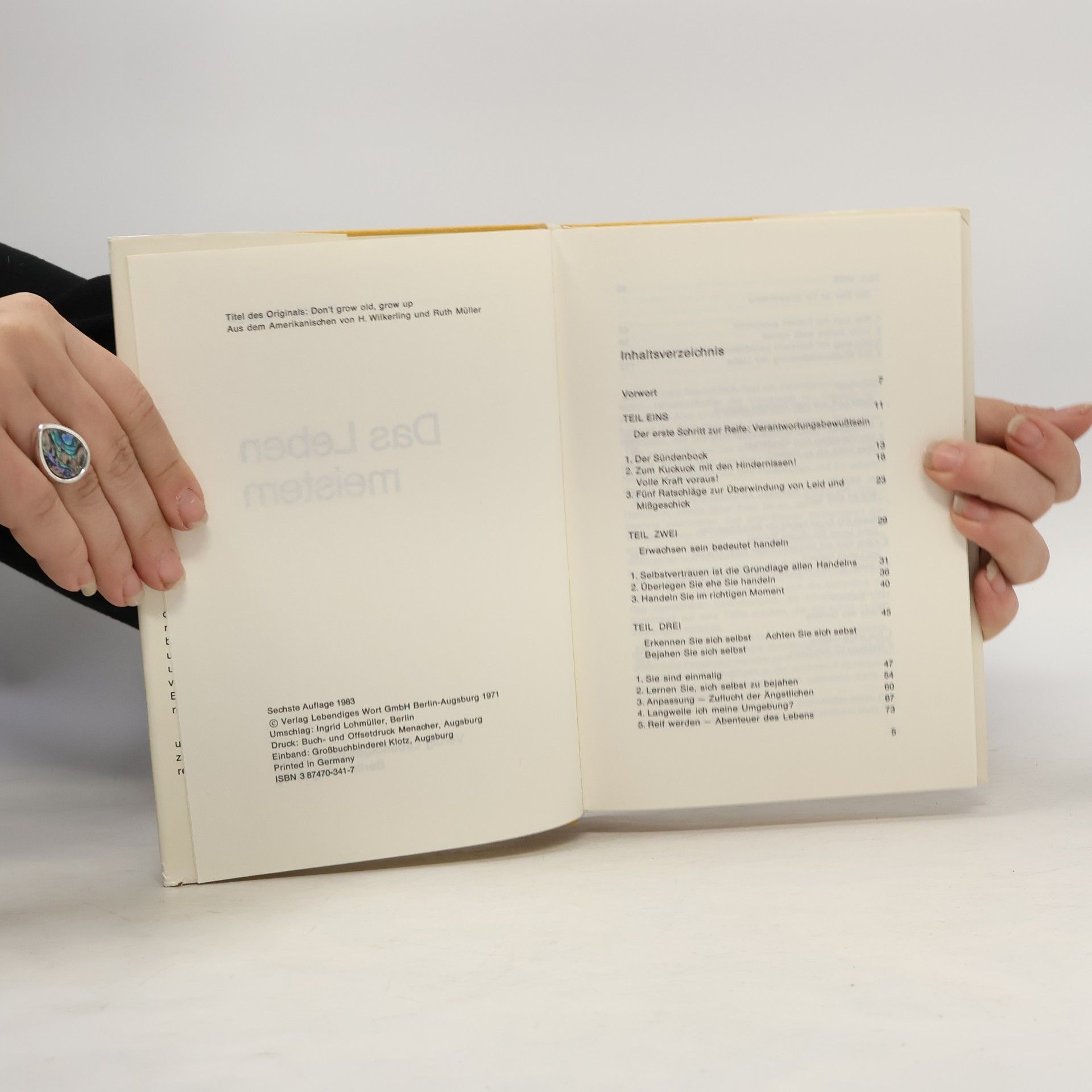 Dorothy Carnegie Das Leben meistern