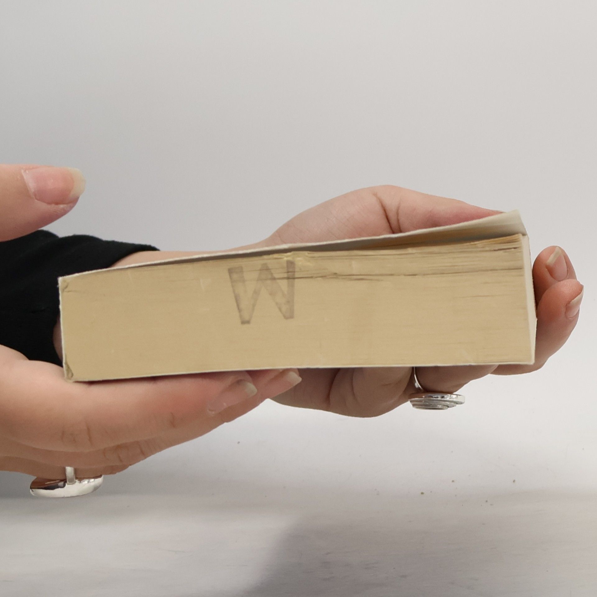 Jürgen Blunck Biblisches Wörterbuch