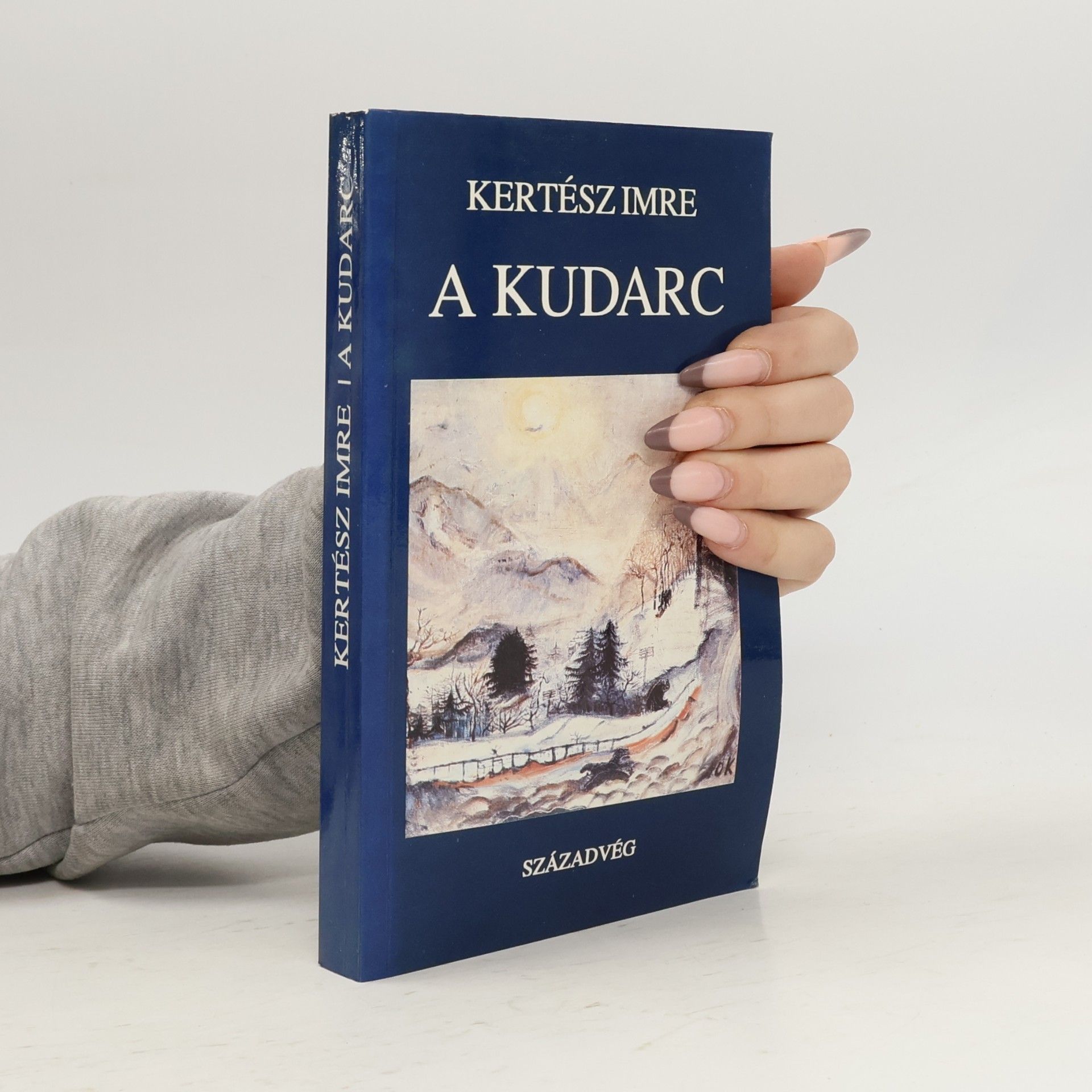 A kudarc : regény