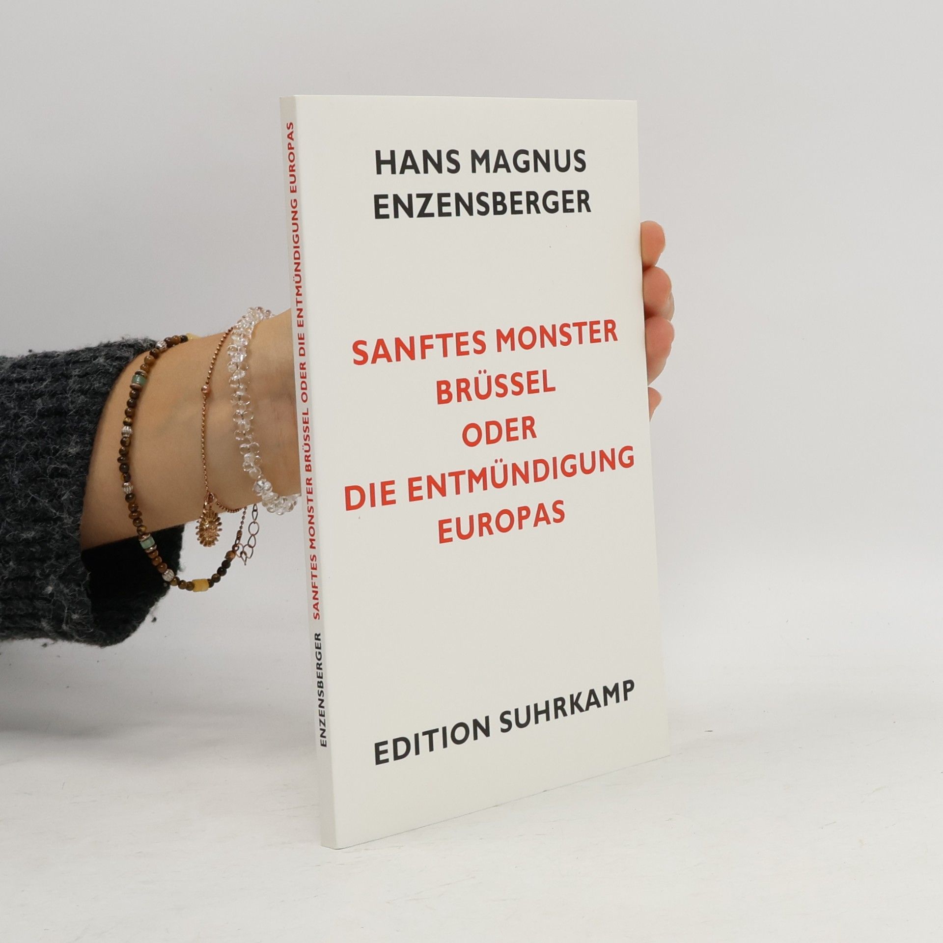 Hans Magnus Enzensberger Sanftes Monster Brüssel oder die Entmündigung Europas