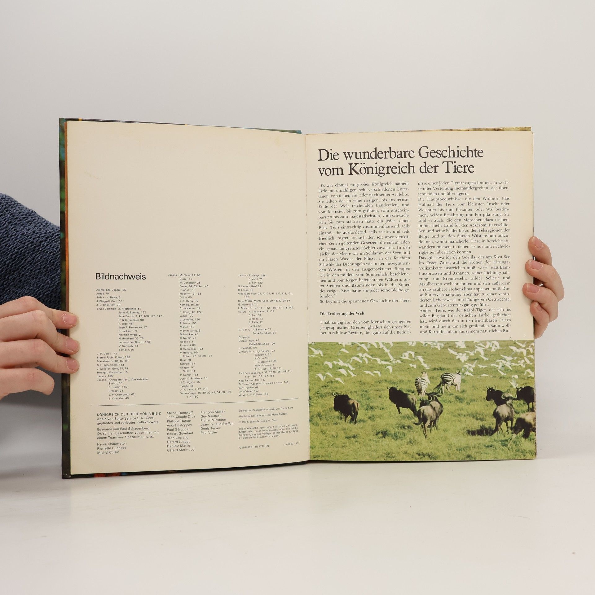 Autorenkollektiv Königreich der Tiere von A bis Z