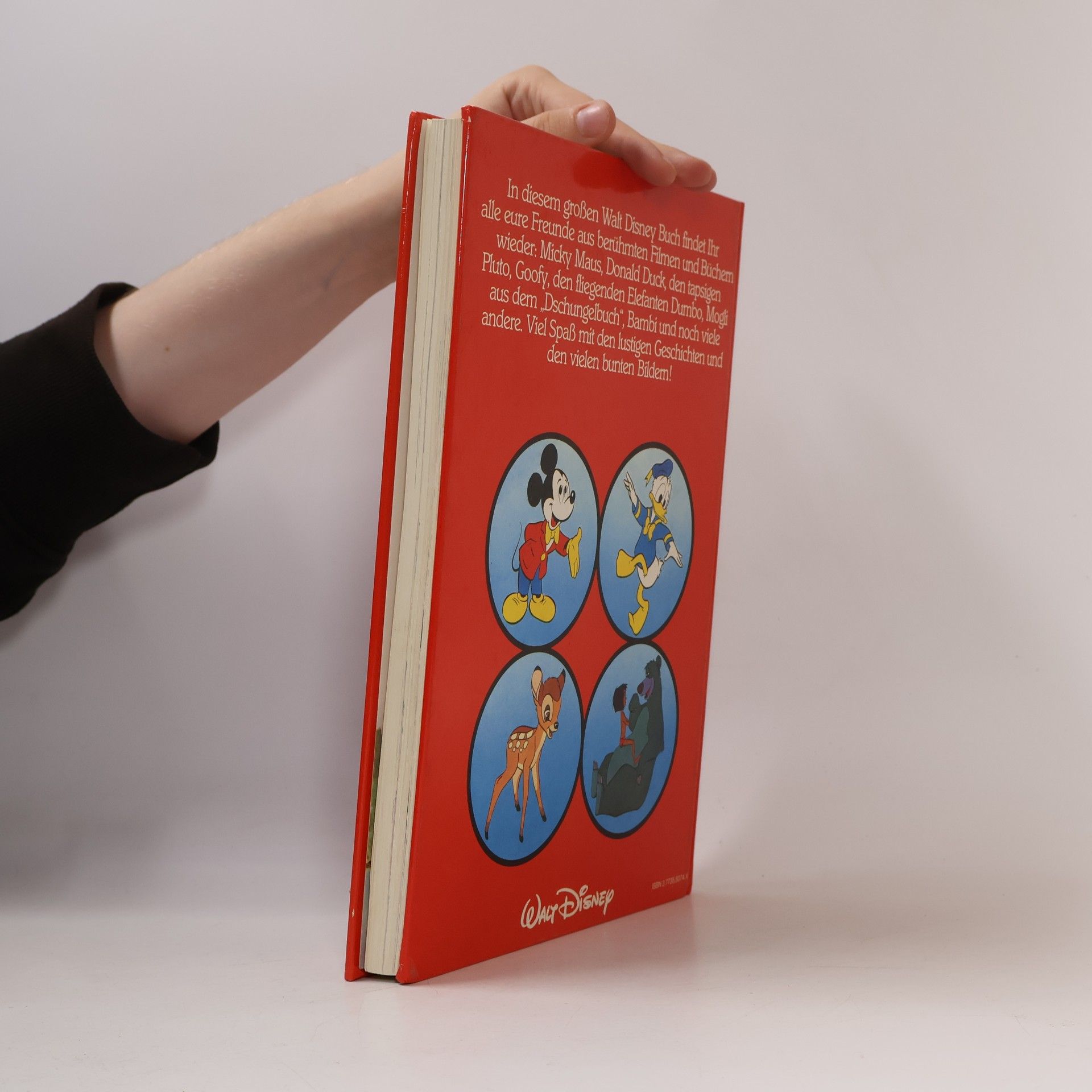 Autorenkollektiv Das große Disney-Buch