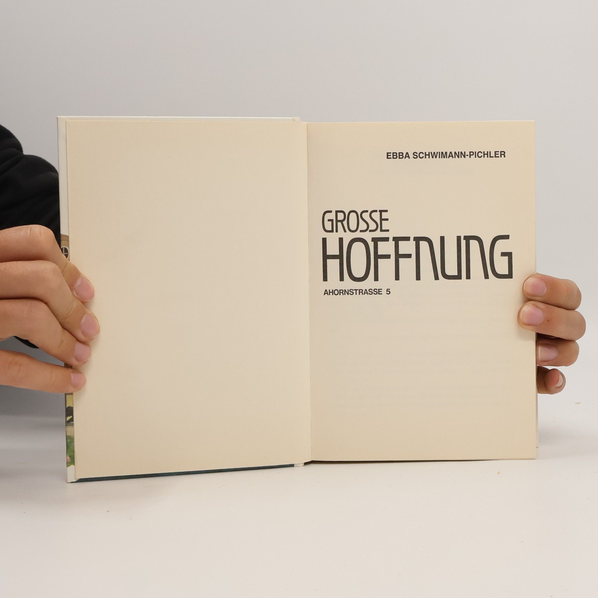 Ebba Schwimann-Pichler Grosse Hoffnung. Ahornstrasse 5