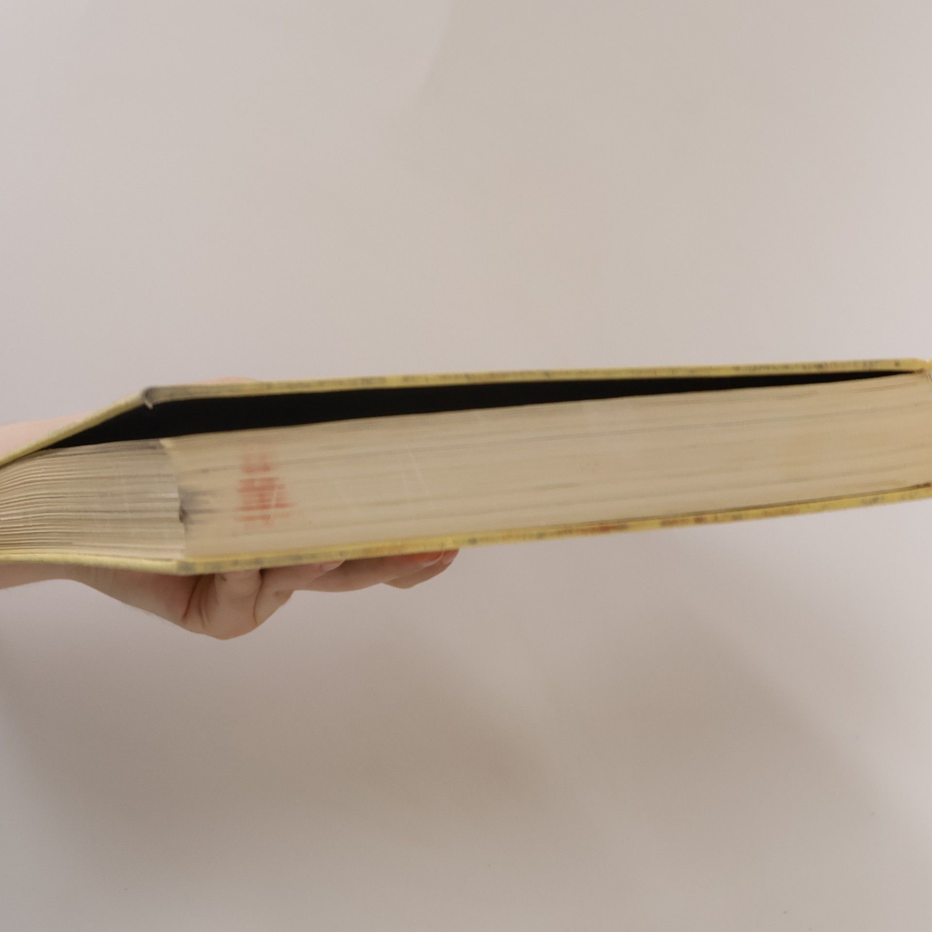 Autorenkollektiv Theresienstadt
