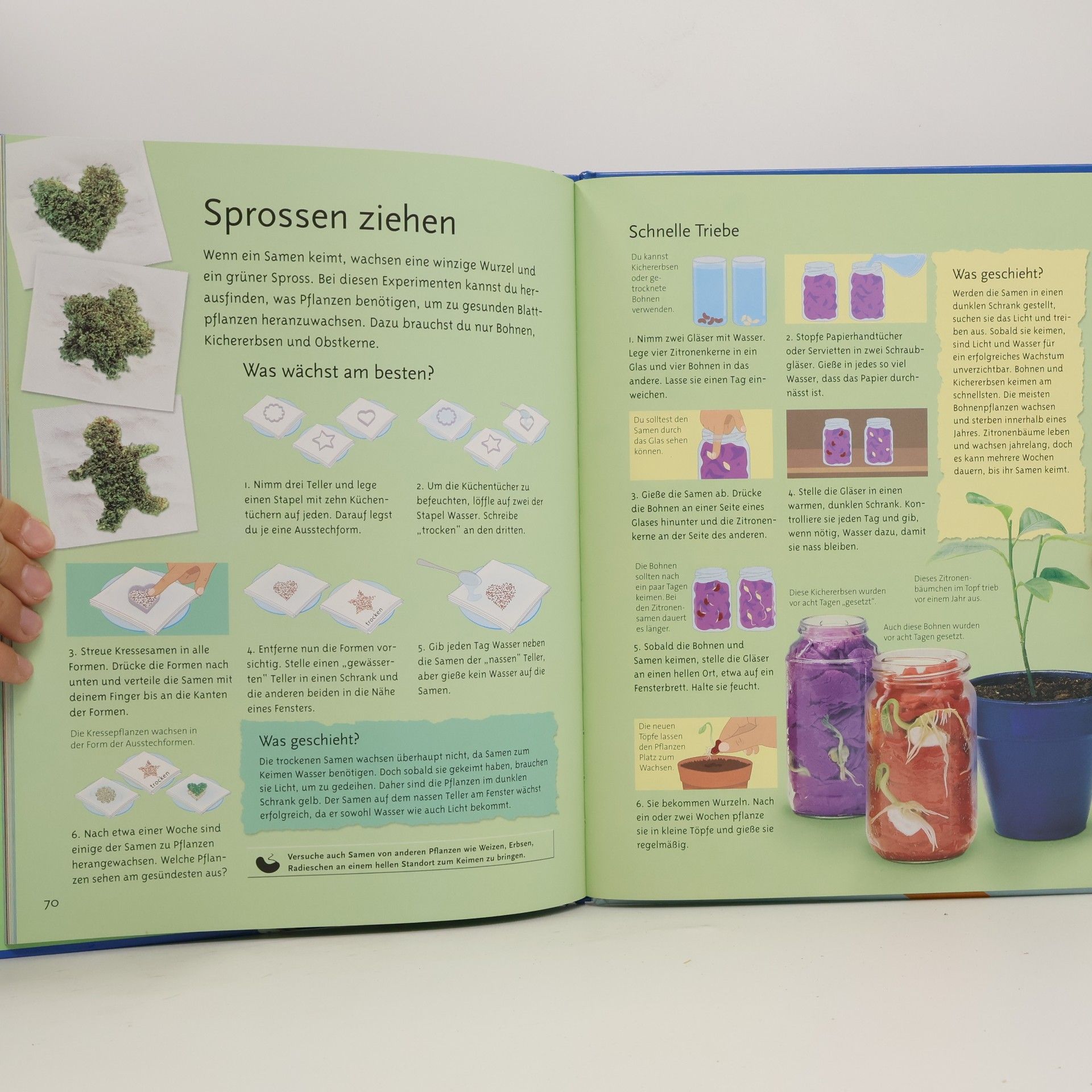 Georgina Andrews 100 spannende Experimente für Kinder