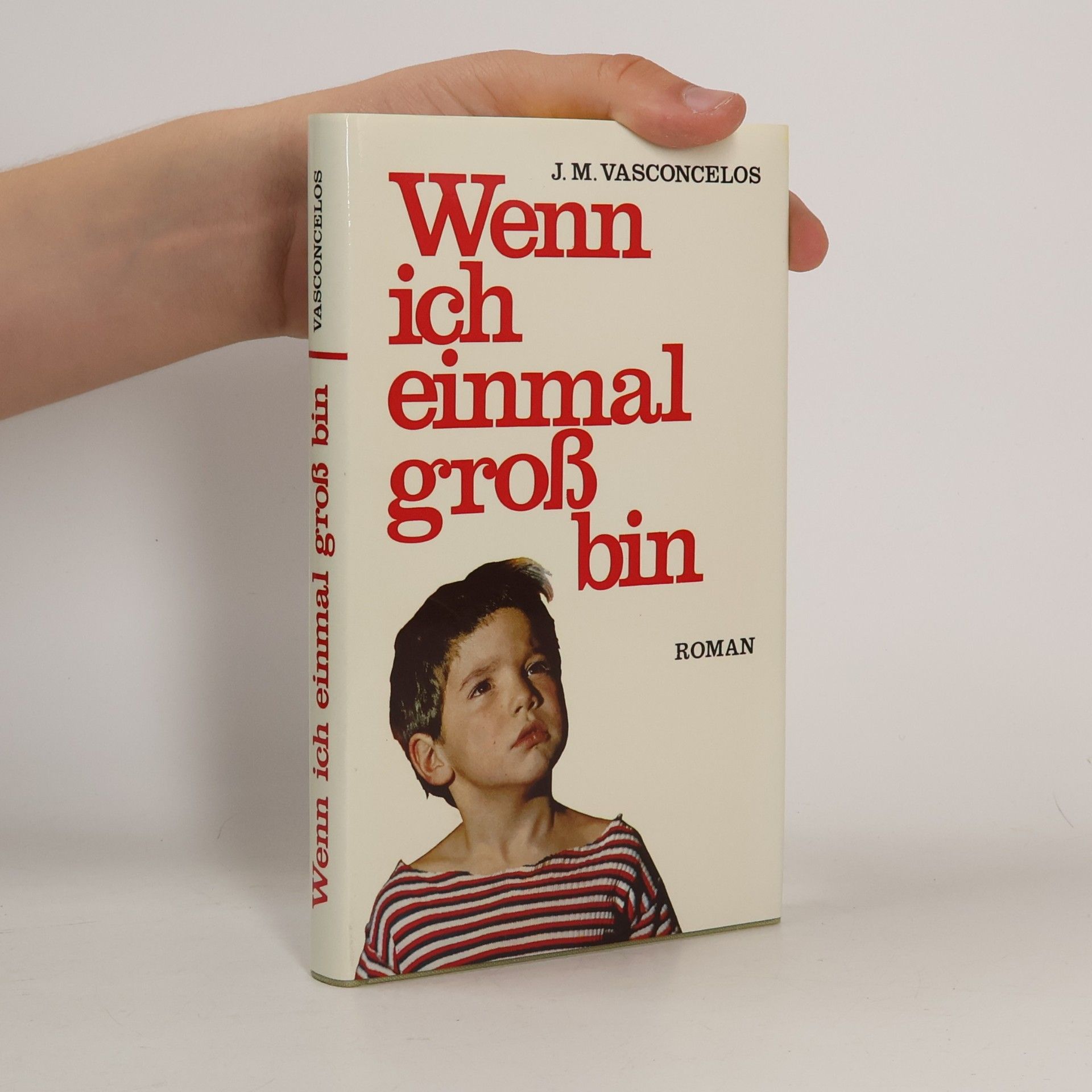 J. M. Vasconcelos Wenn ich einmal groß bin