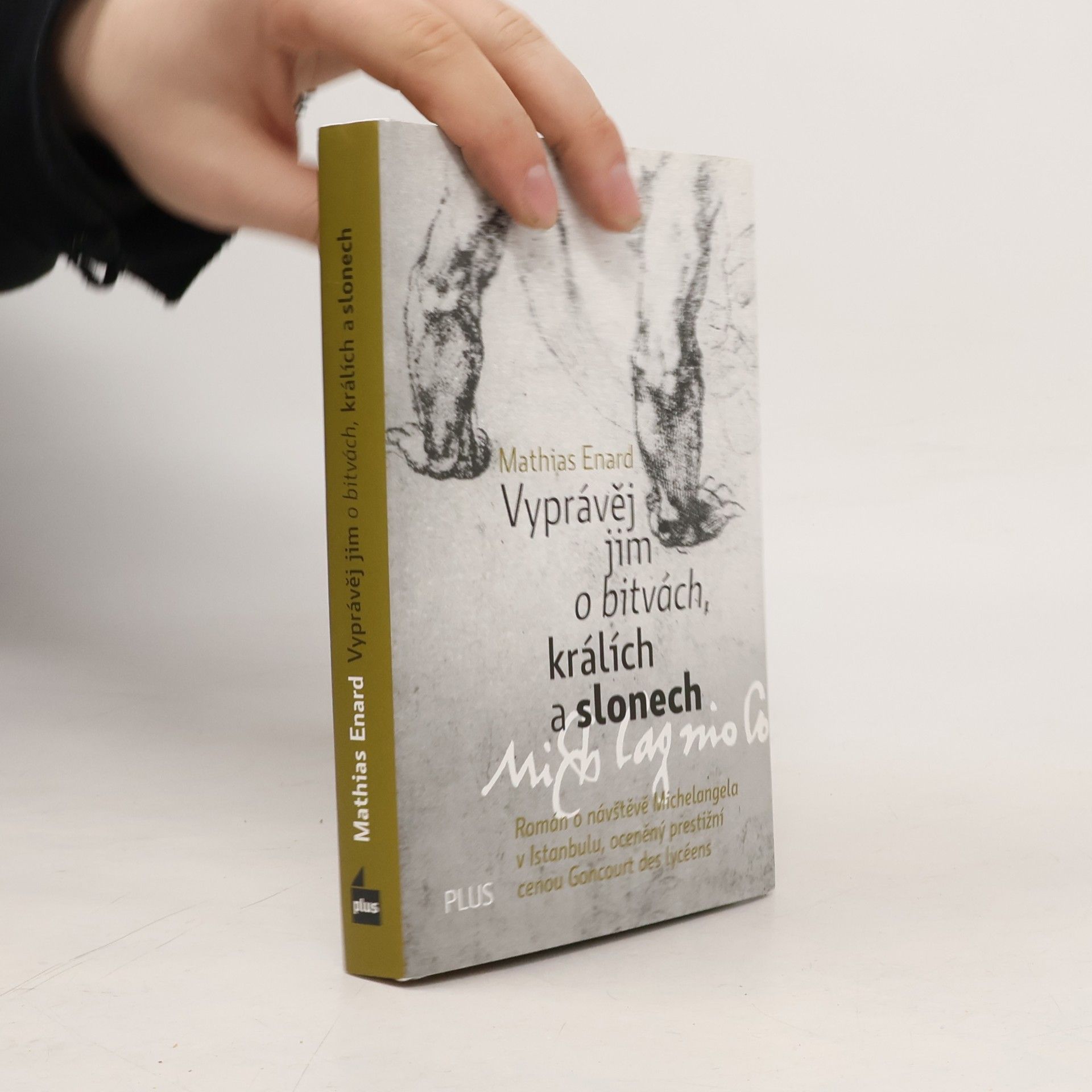 Mathias Énard Vyprávěj jim o bitvách, králích a slonech