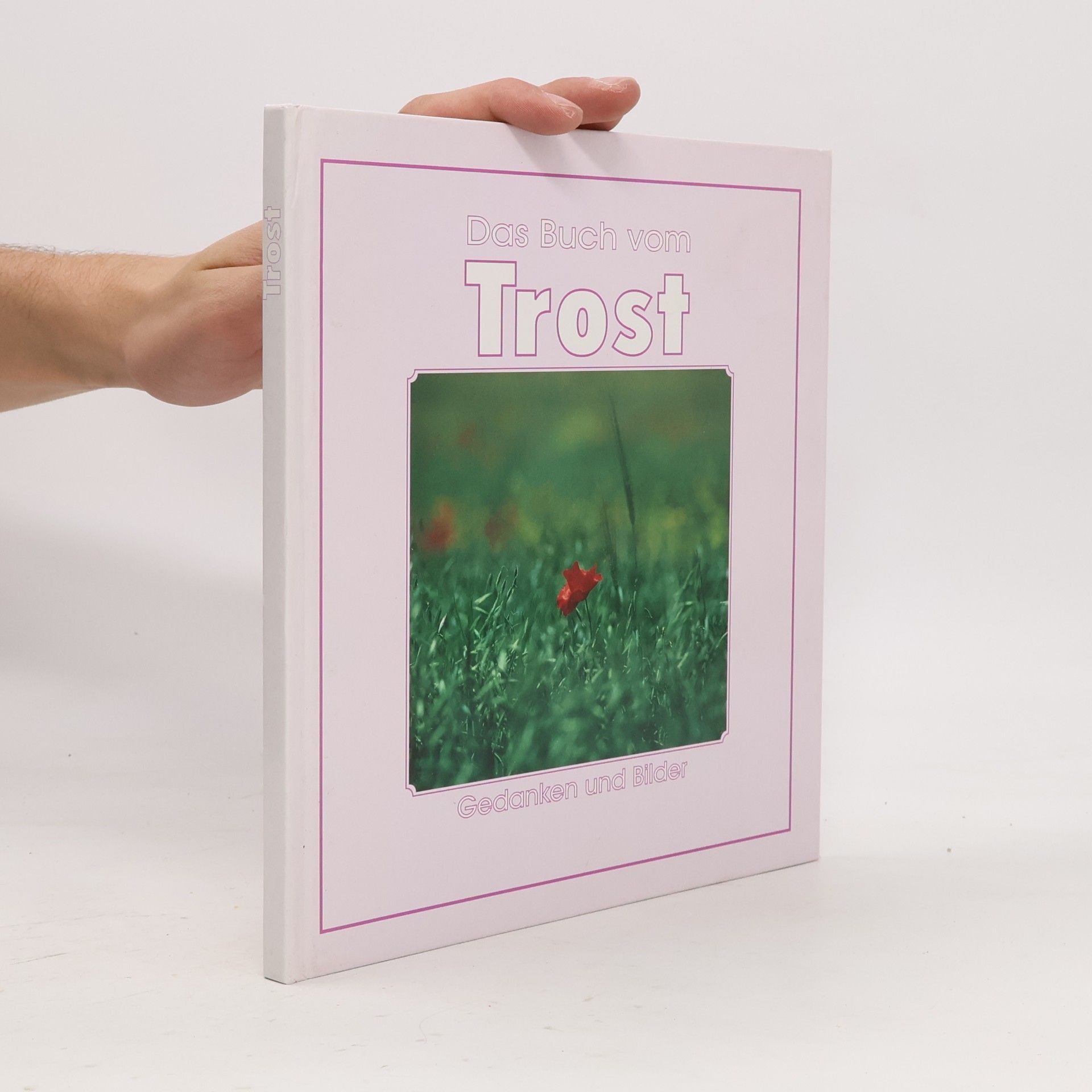 Das Buch vom Trost