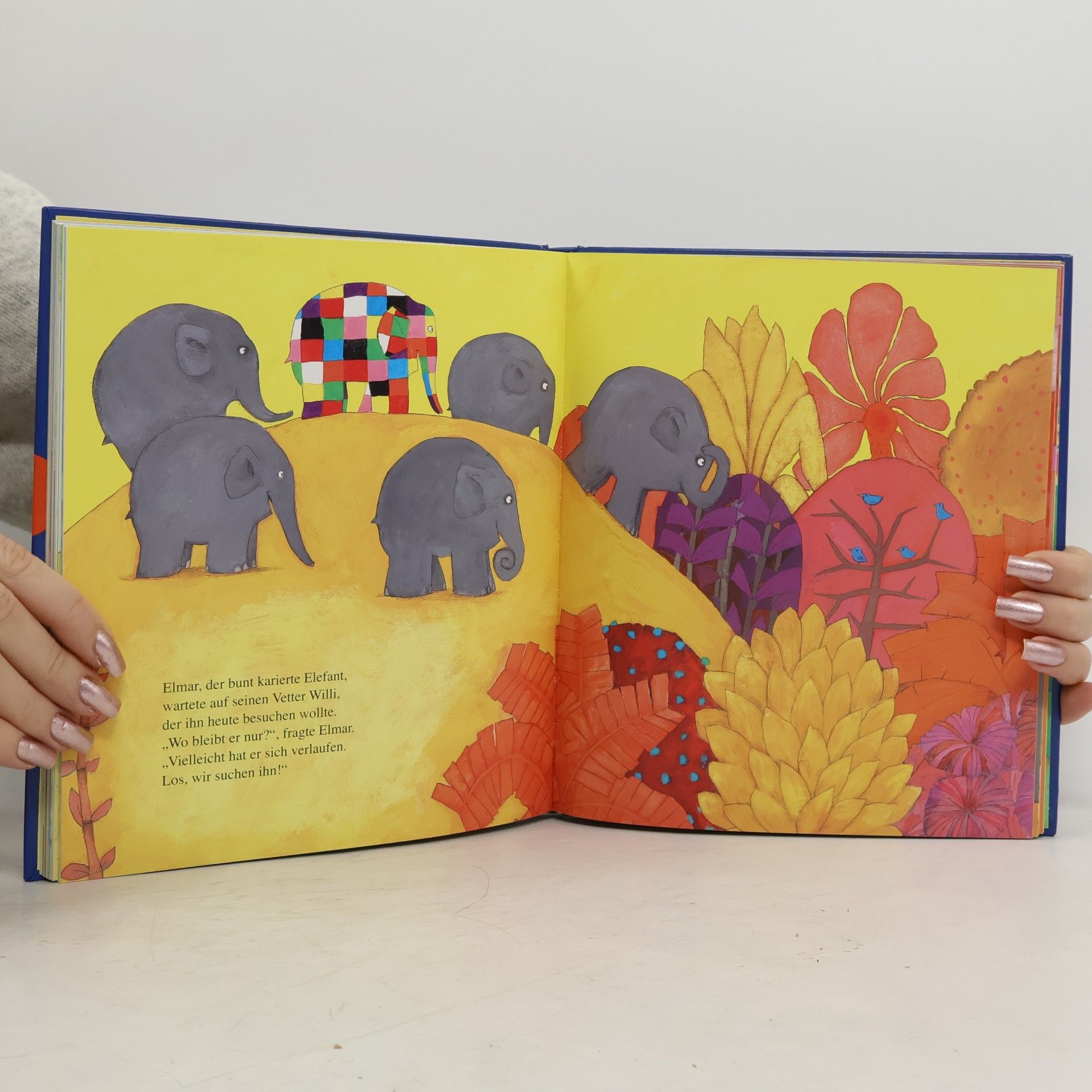 David McKee Das grosse Elmar-Buch