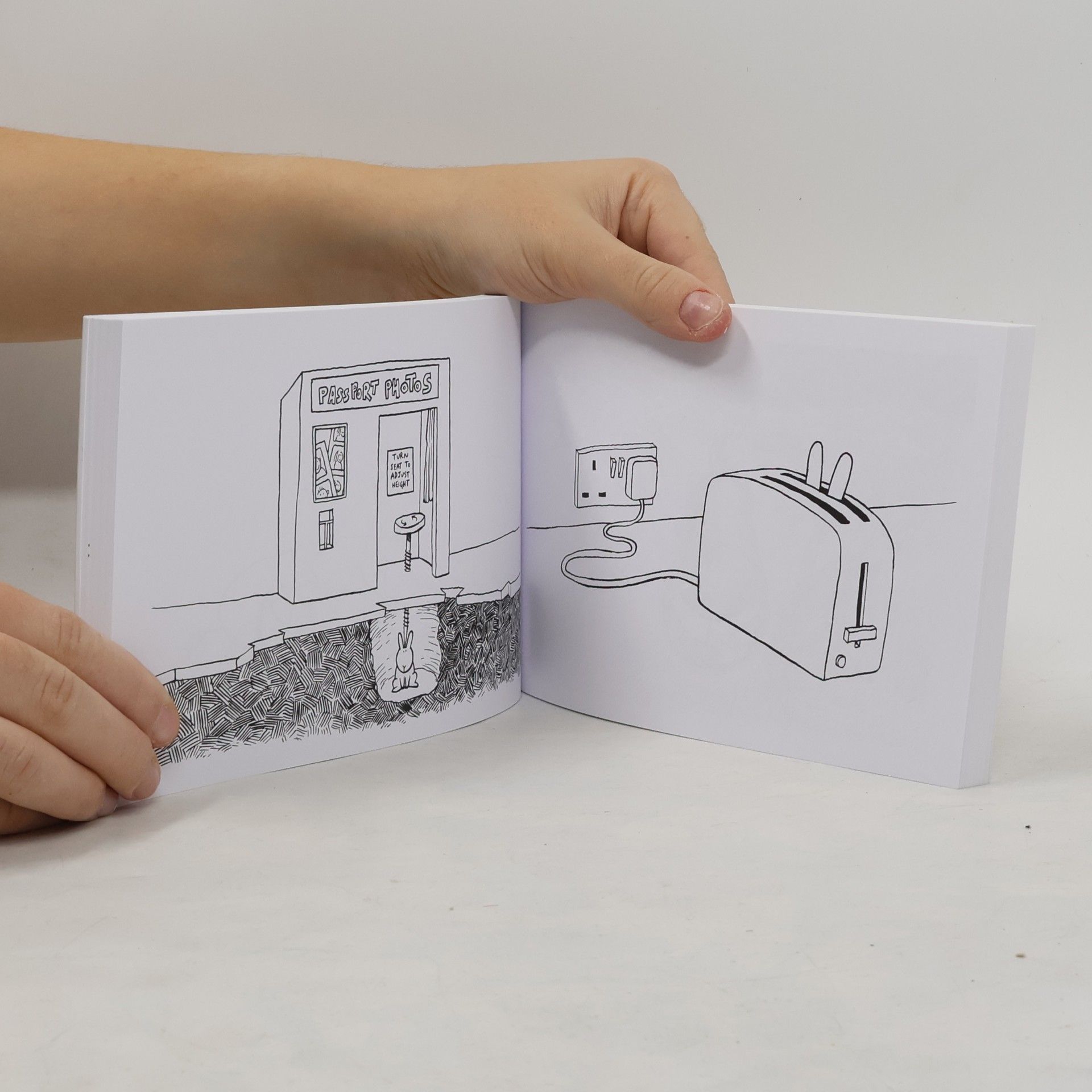 Andy Riley The Bumper Book of Bunny Suicides
