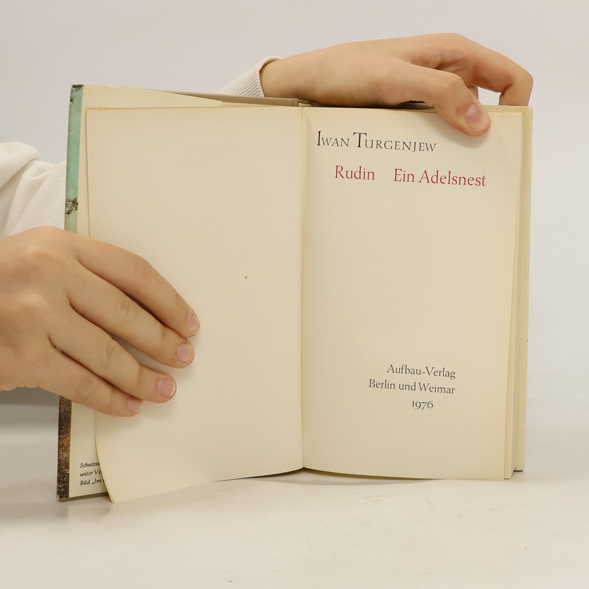 Ivan Turgenev Rudin. Ein Adelsnest