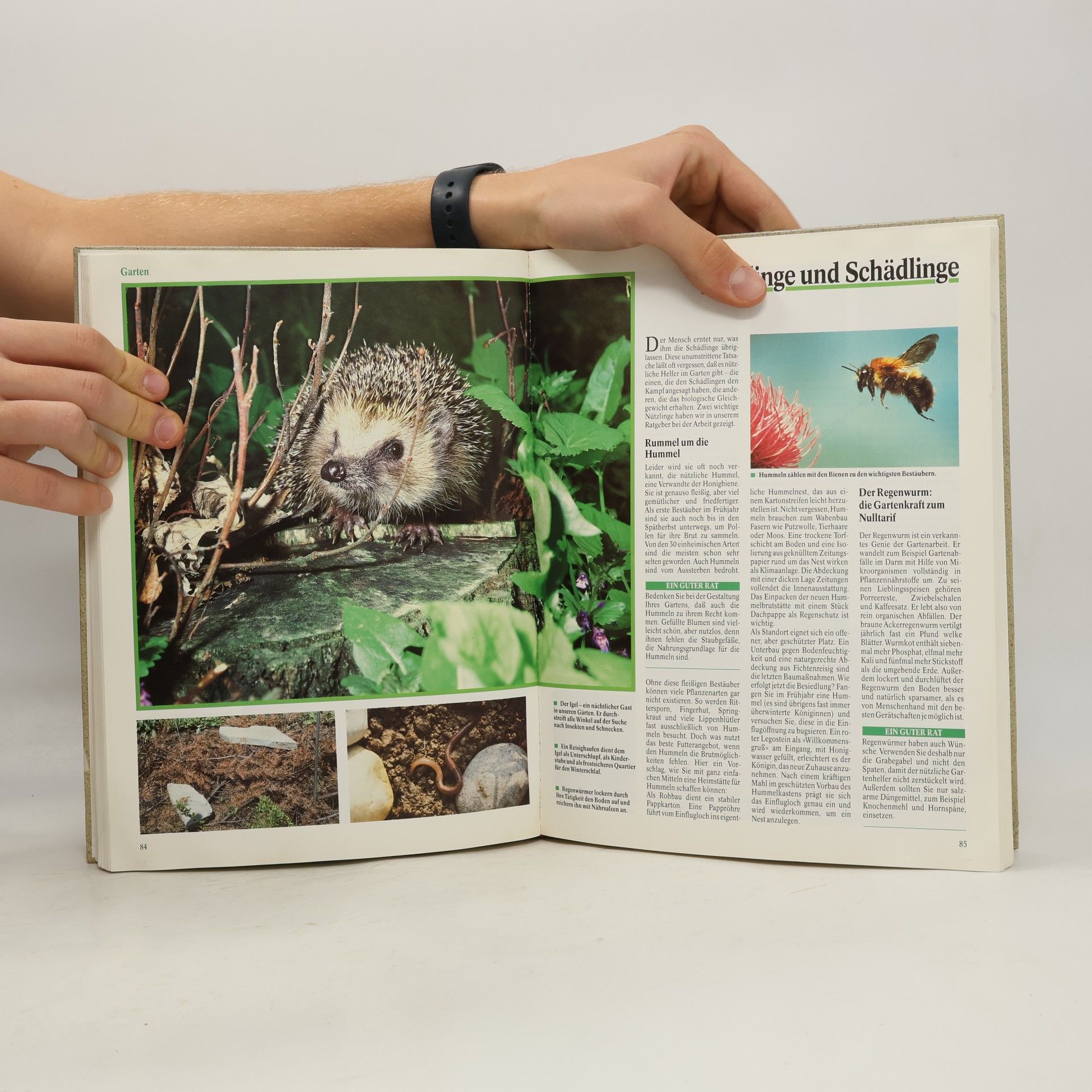 Various authors ARD Ratgeber Heim + Garten