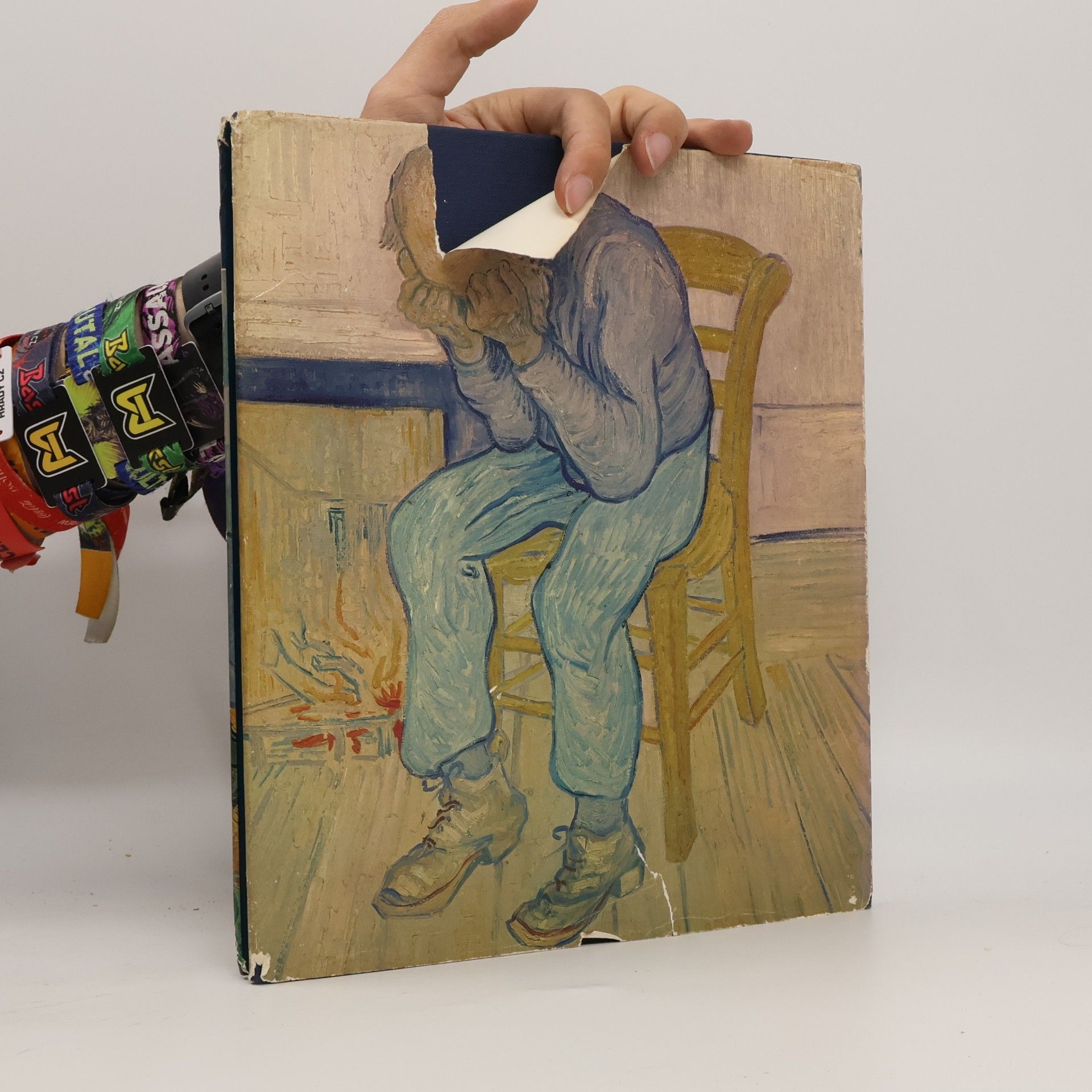 Paul Hamlyn Van Gogh