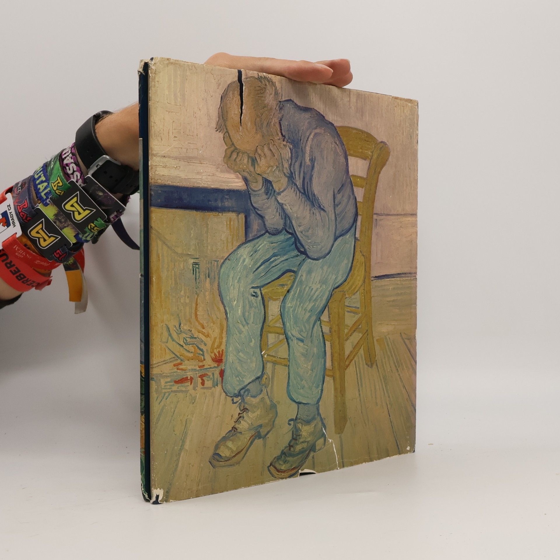 Paul Hamlyn Van Gogh