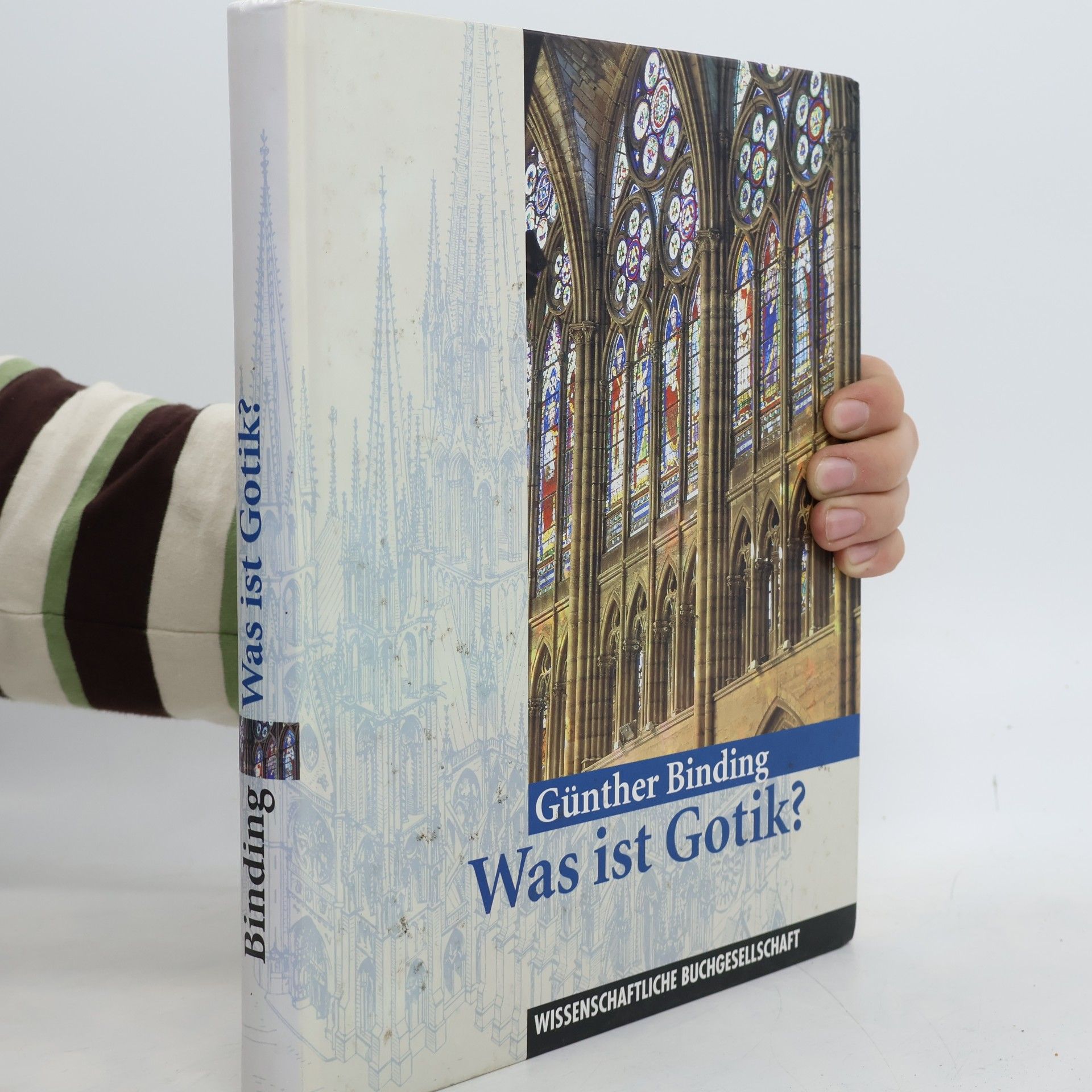 Günther Binding Was ist Gotik?