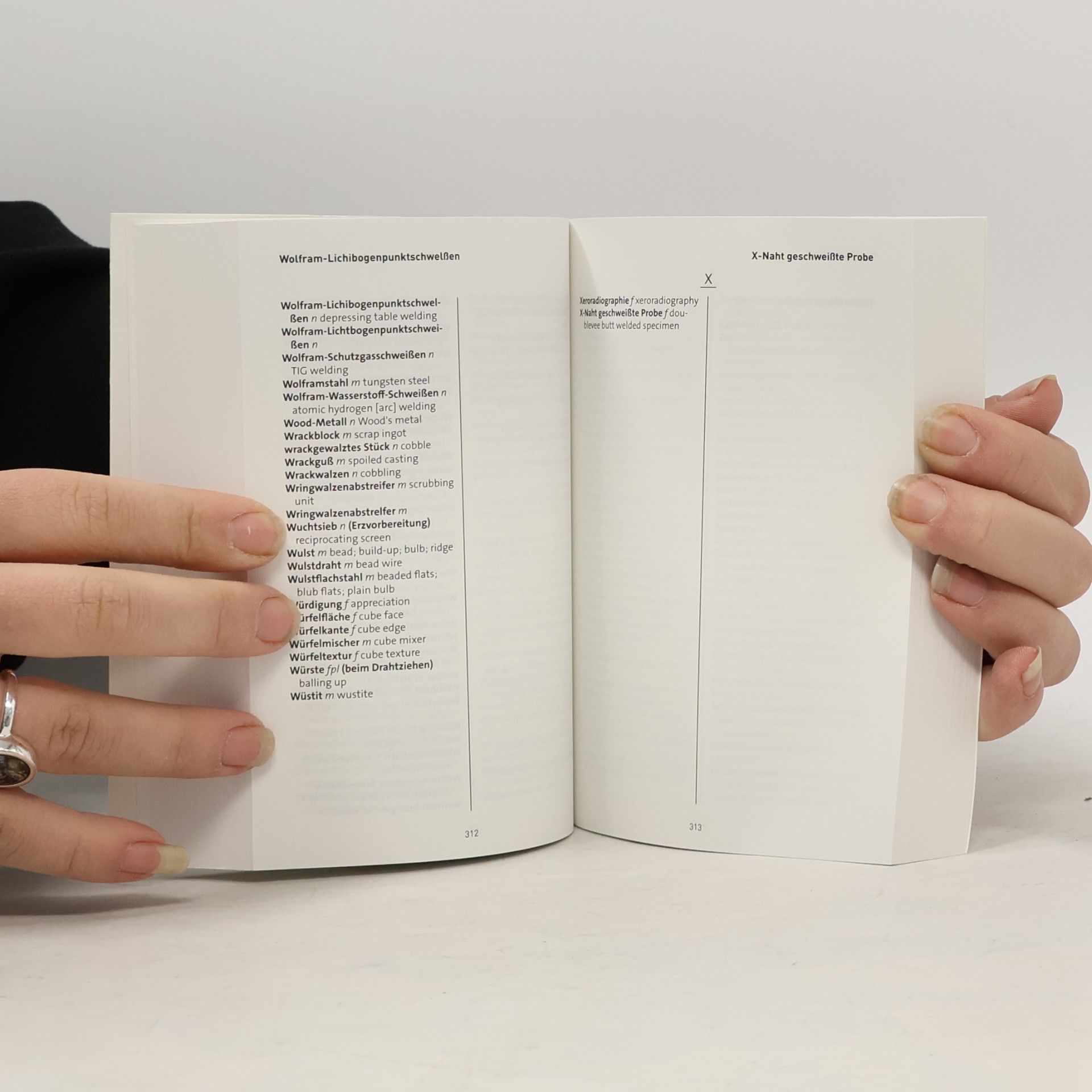 Stahlinstitut VDEh Verlag Stahleisen Wörterbuch Deutsch-Englisch / Englisch-Deutsch - 1. Auflage • 1st Edition