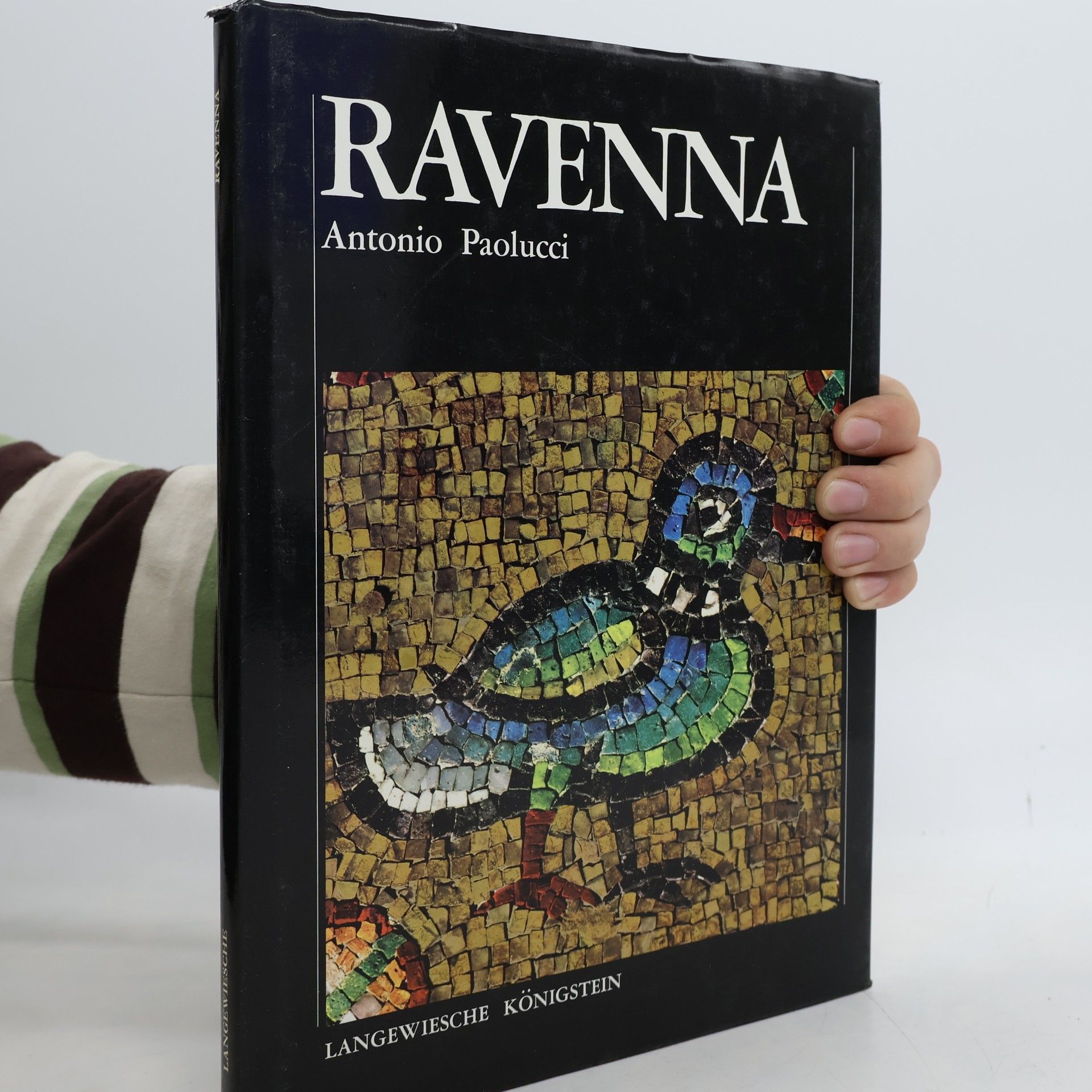 Antonio Paolucci Ravenna