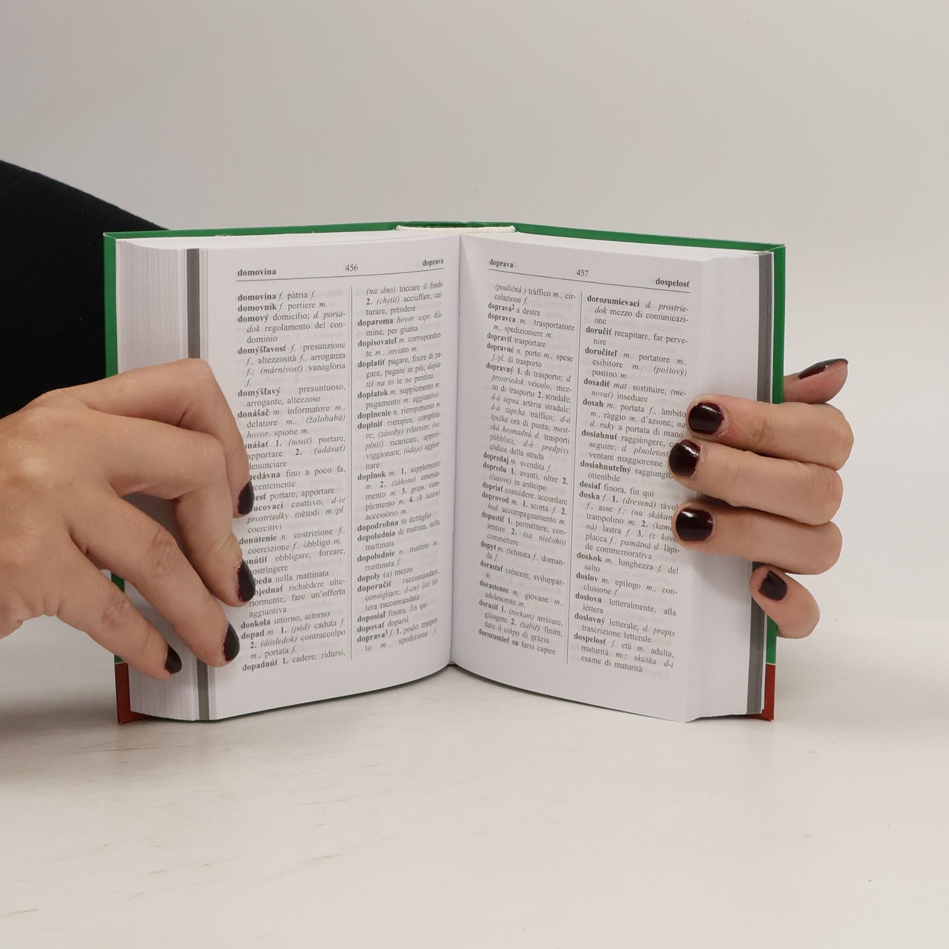 Kolektiv autorů Vreckový slovník. Taliansko-slovenský,slovensko-talianský