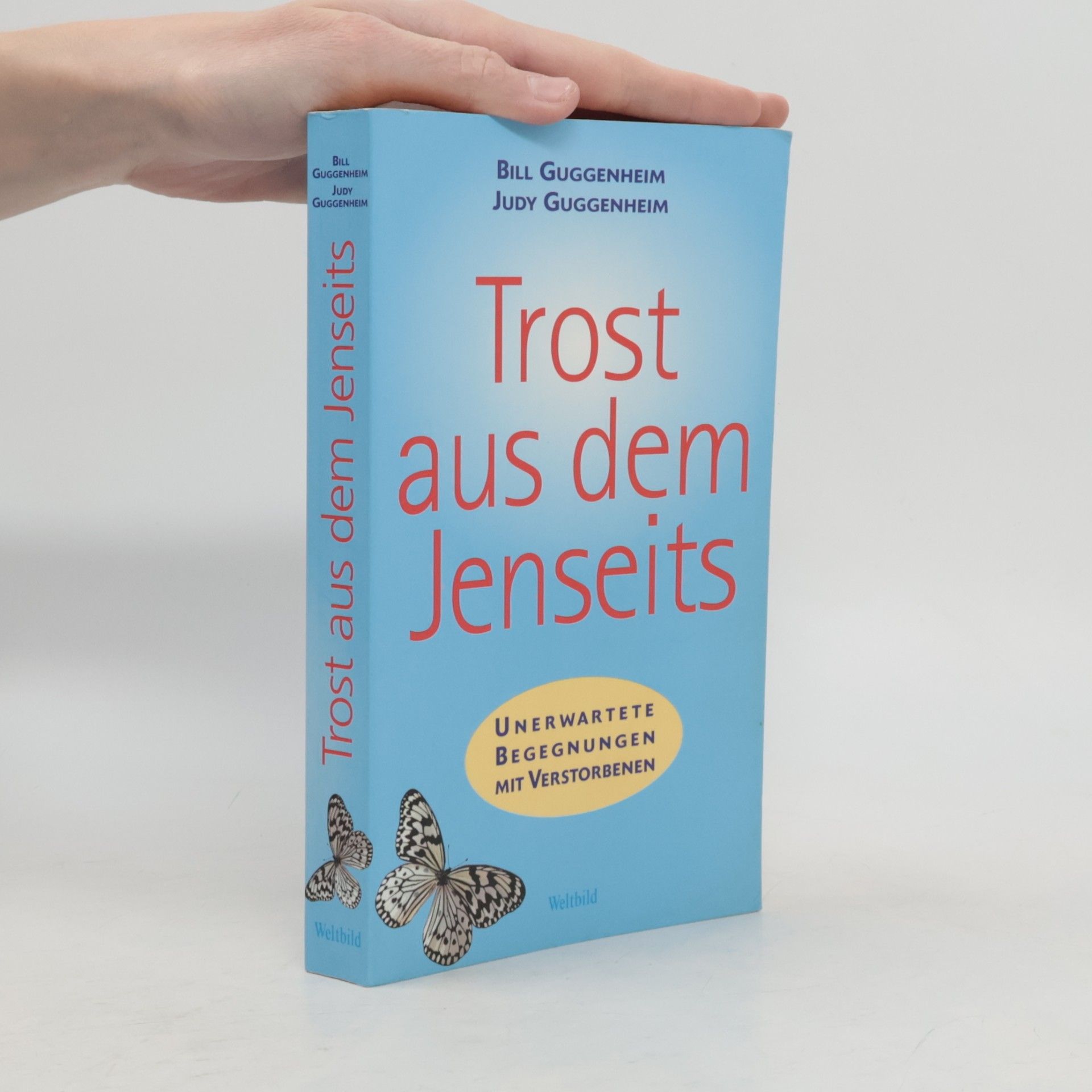Bill Guggenheim Trost aus dem Jenseits