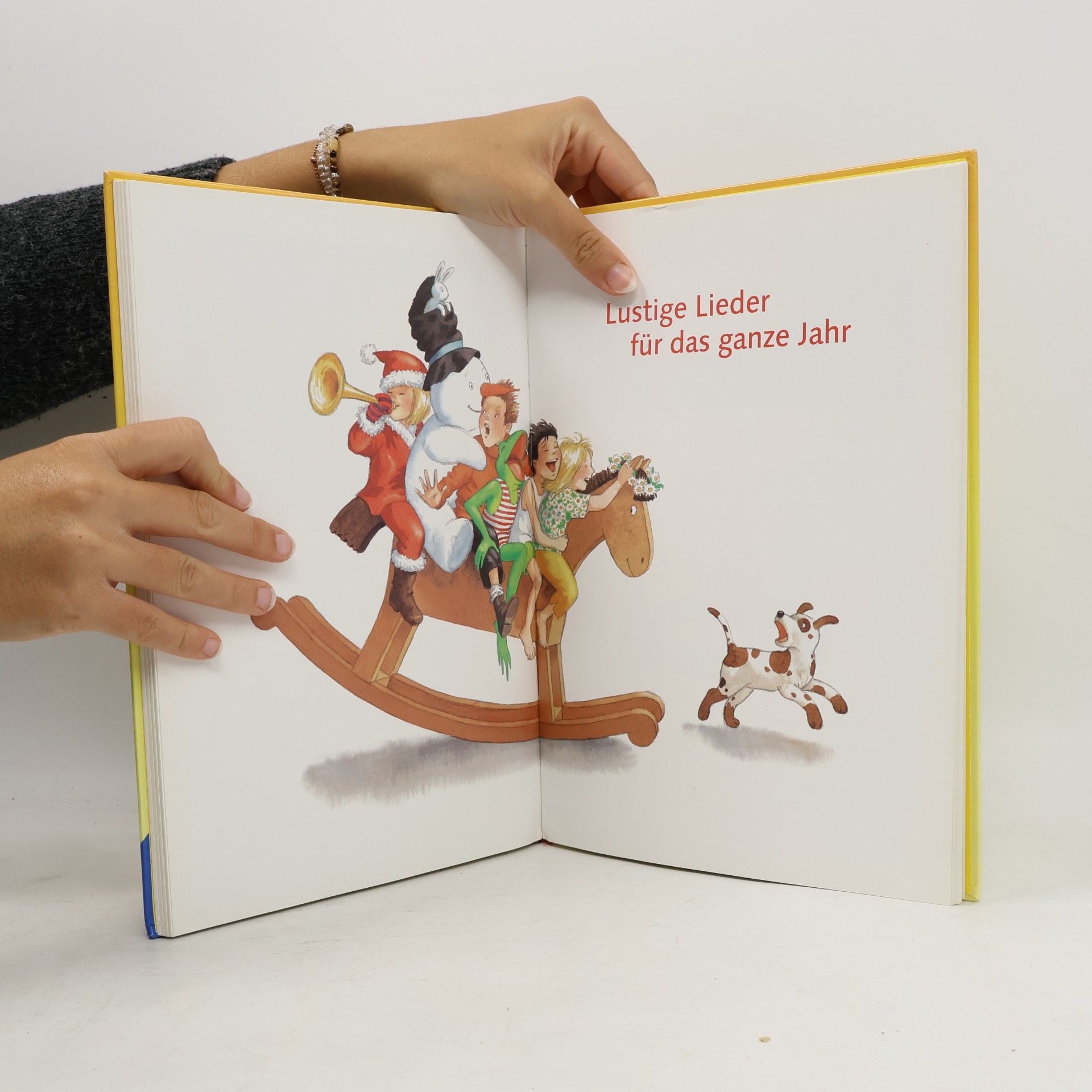 Collectif d'auteurs Der große Ravensburger Liederschatz