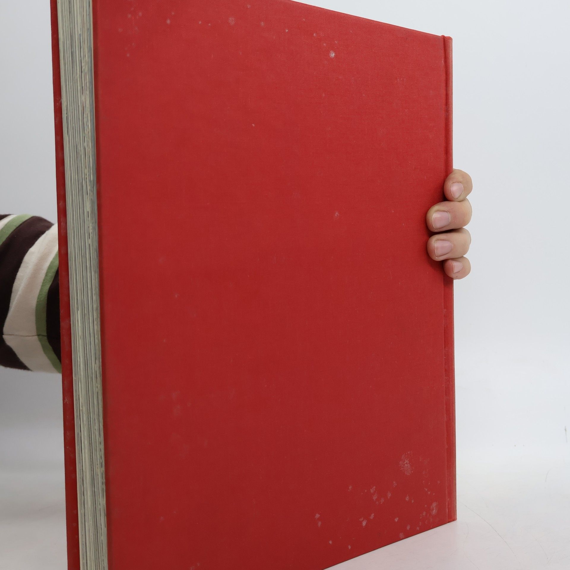 Various authors Die großen Kathedralen