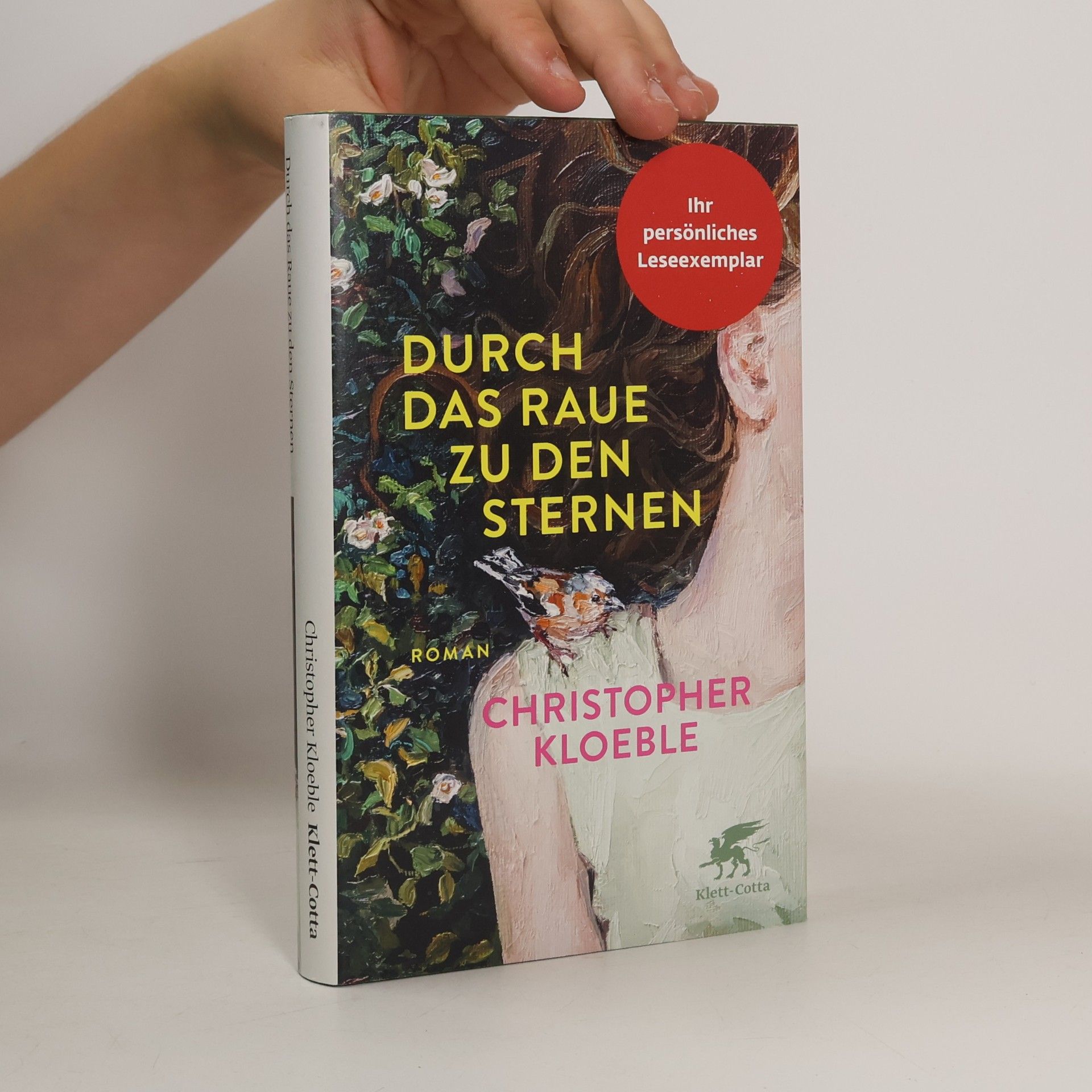 Durch das Raue zu den Sternen