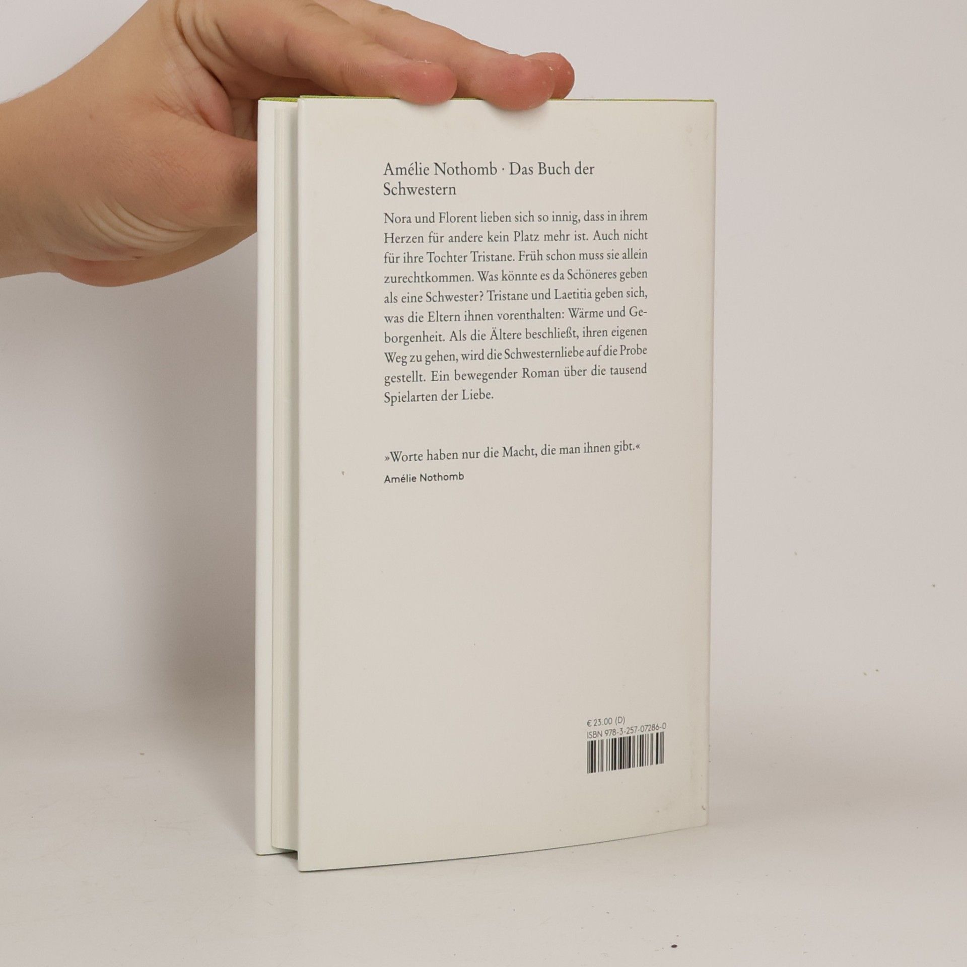 Amélie Nothomb Das Buch der Schwestern