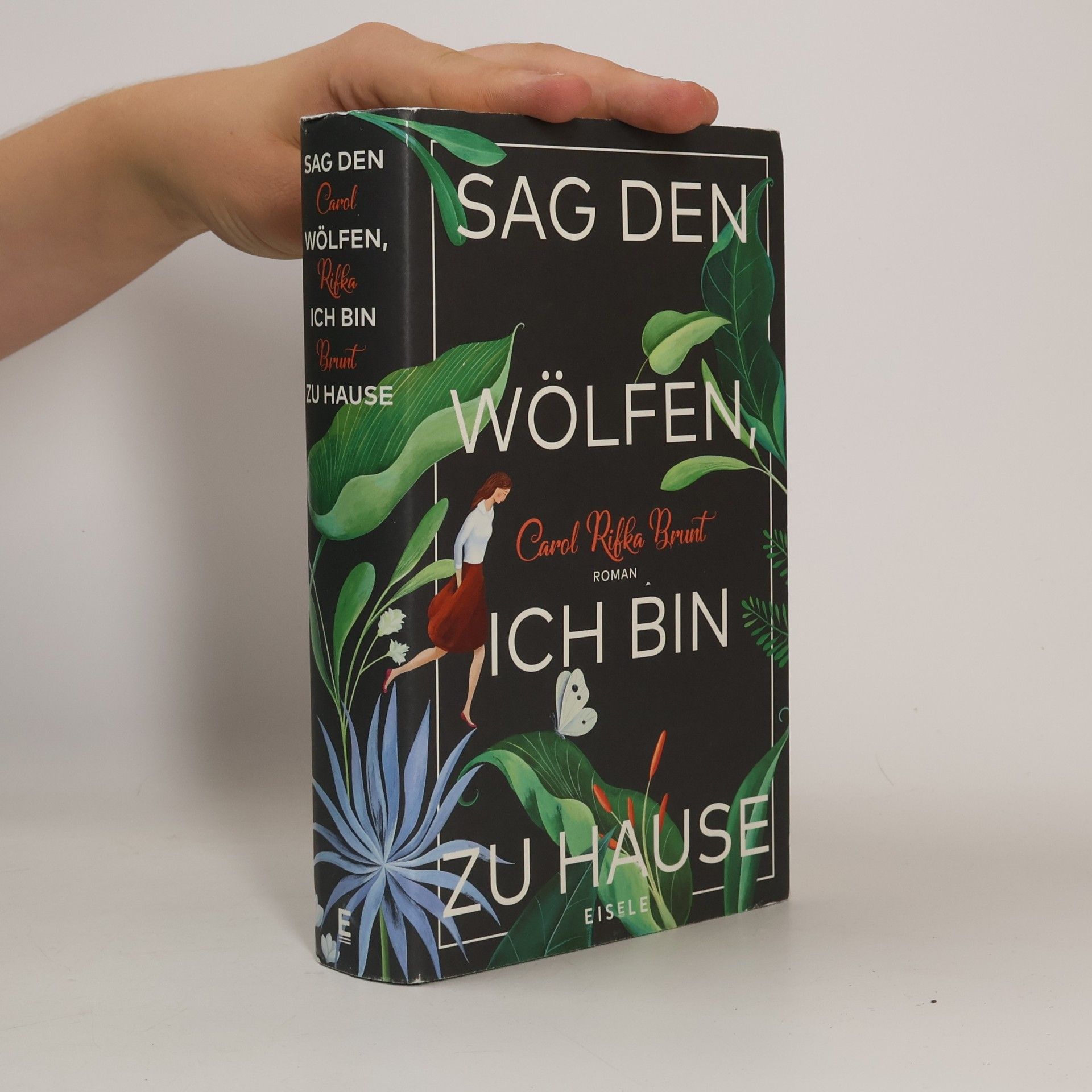 Carol Rifka Brunt Sag den Wölfen, ich bin zu Hause