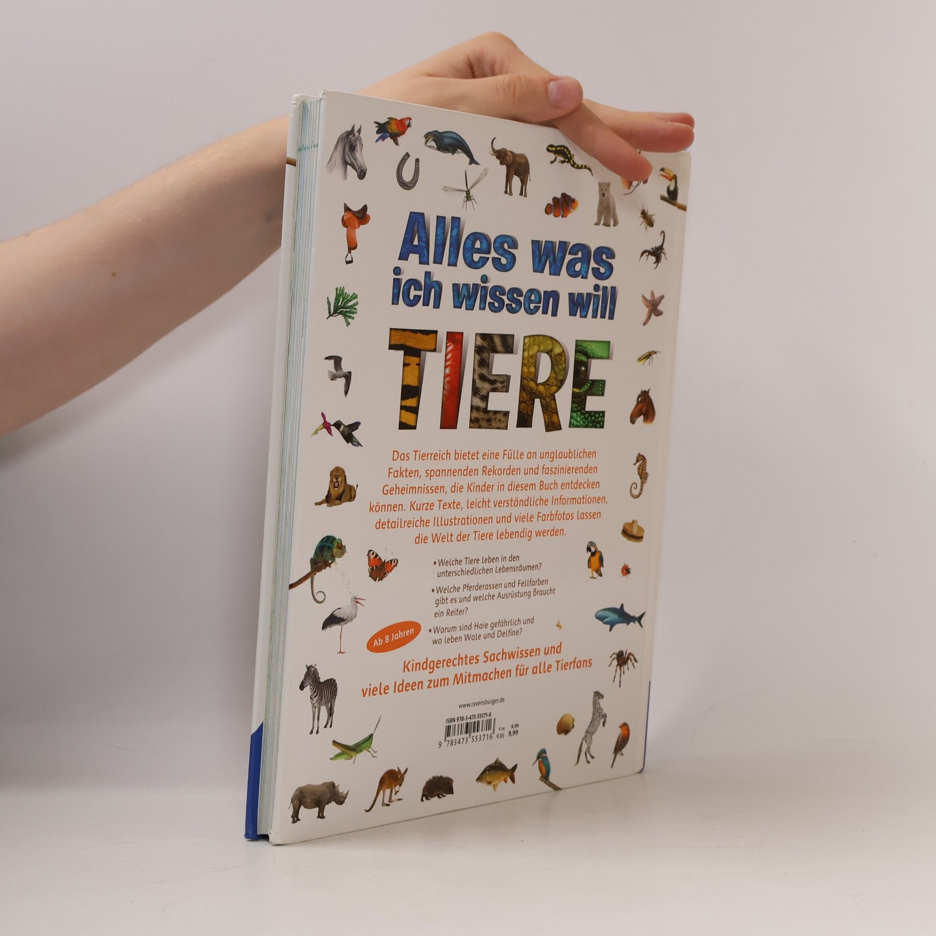 Autorenkollektiv Alles was ich wissen will: Tiere