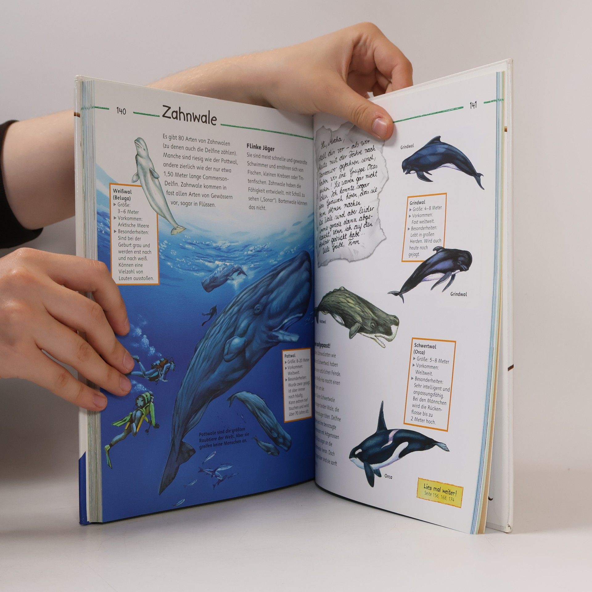 Autorenkollektiv Alles was ich wissen will: Tiere