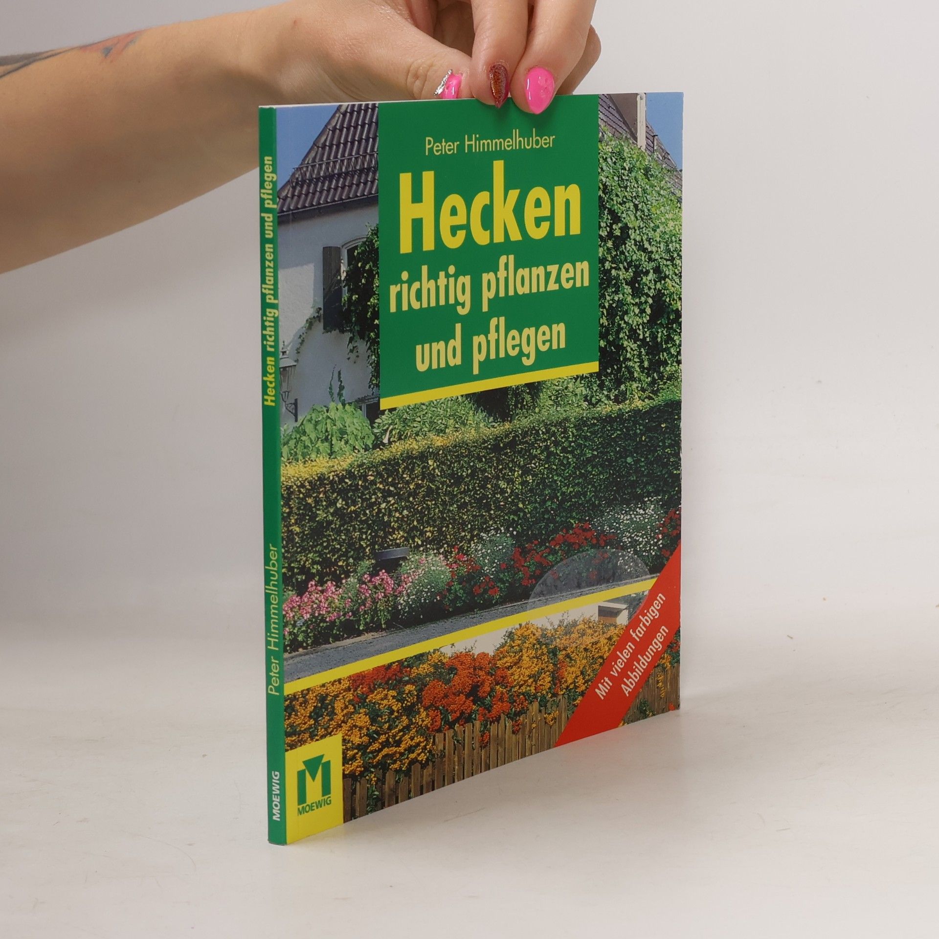 Hecken richtig pflanzen und pflegen