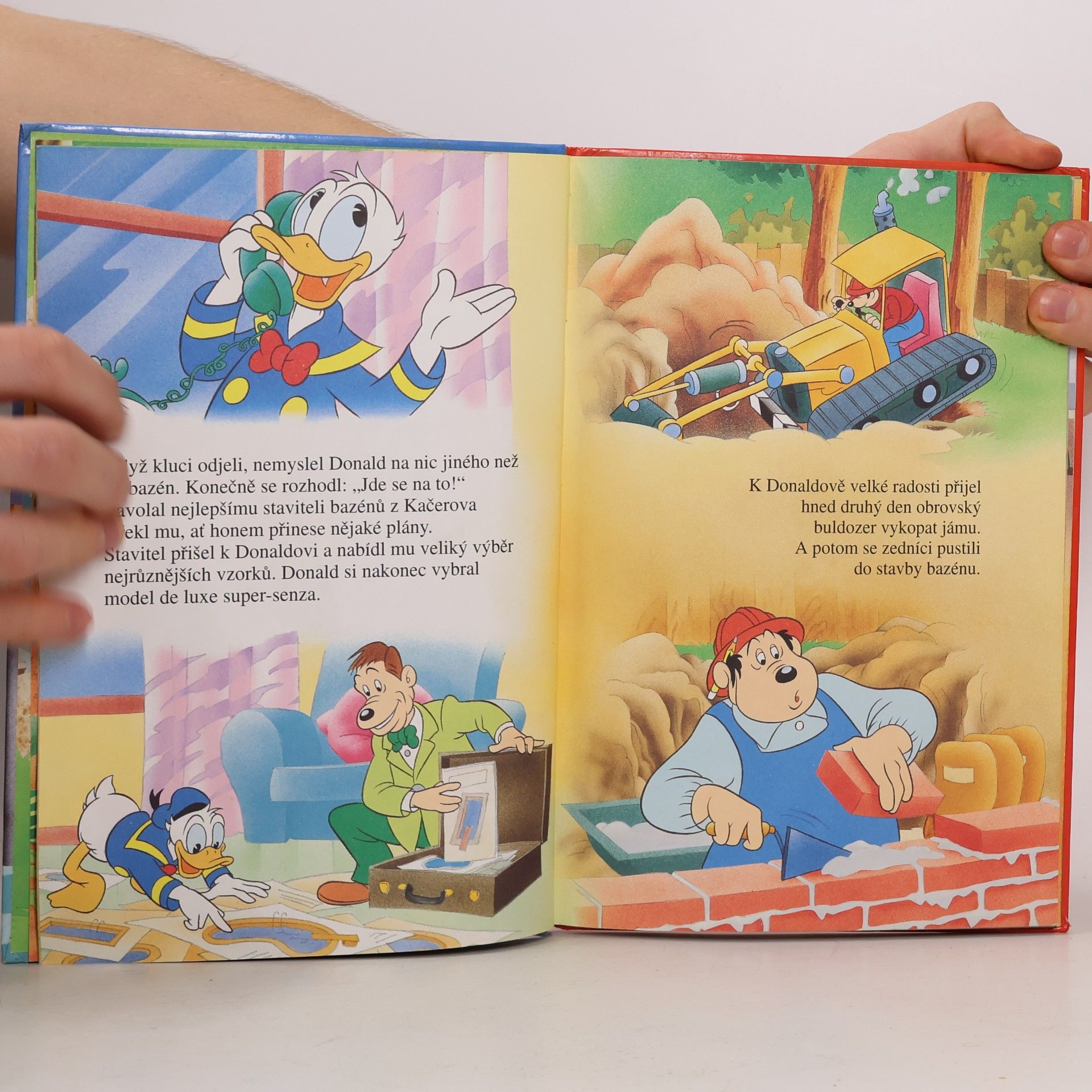 Walt Disney Donaldův nový bazén
