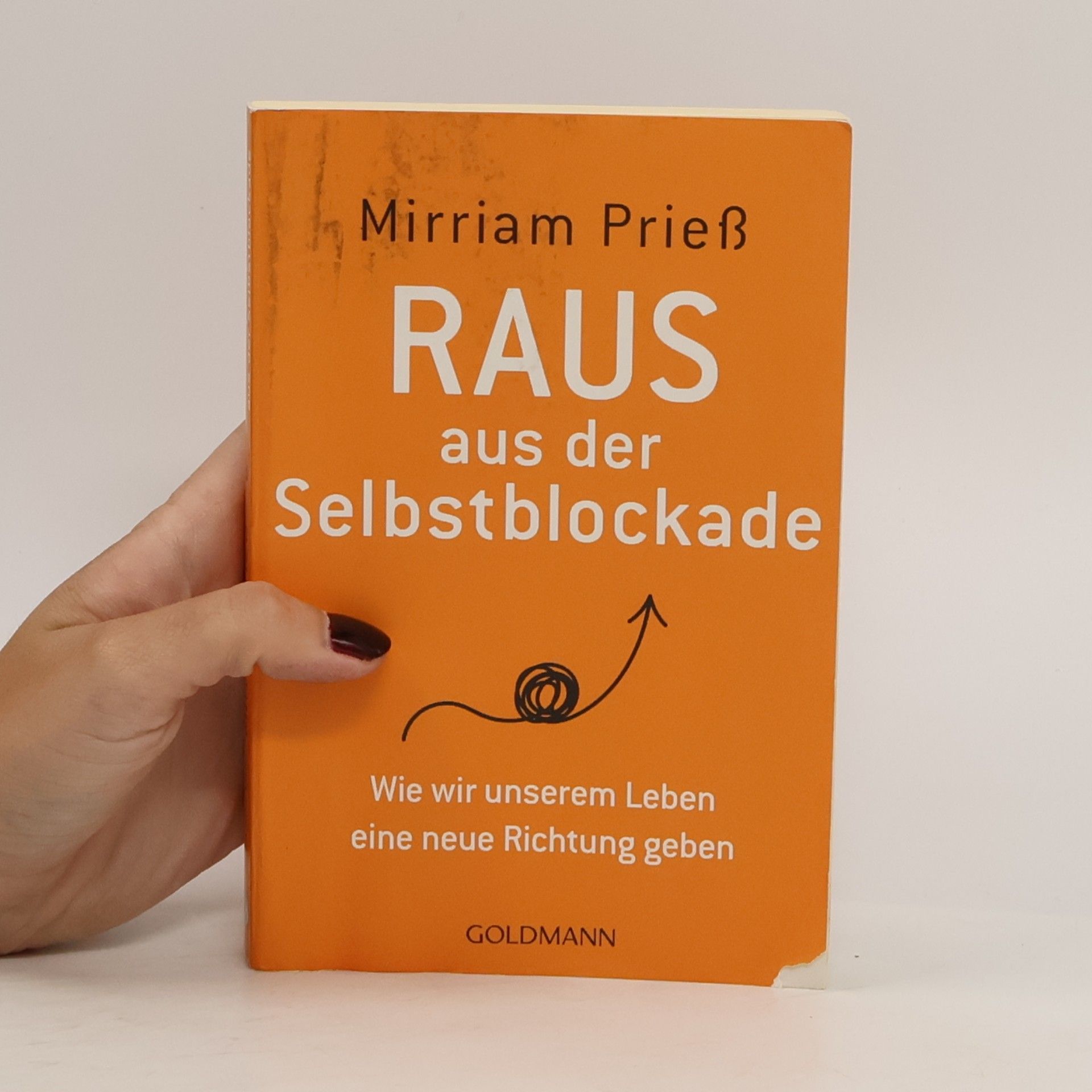 Mirriam Prieß Raus aus der Selbstblockade