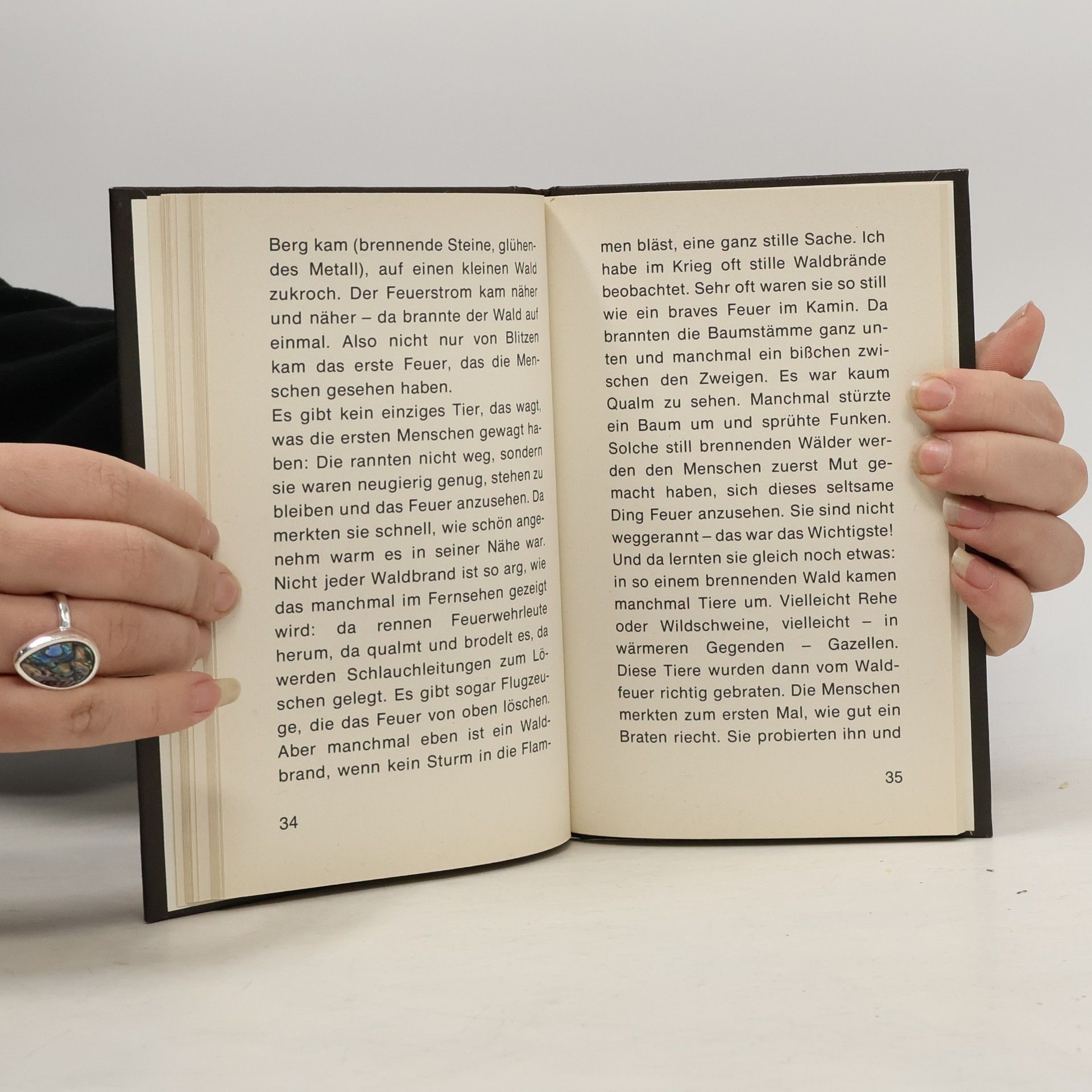 Jürgen von Hollander Die kleinen Auer-Bücher: Das Buch vom Feuer