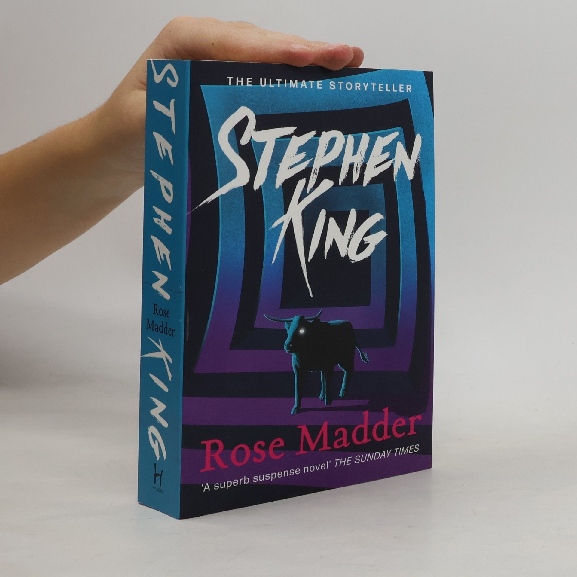 Stephen King Rose Madder