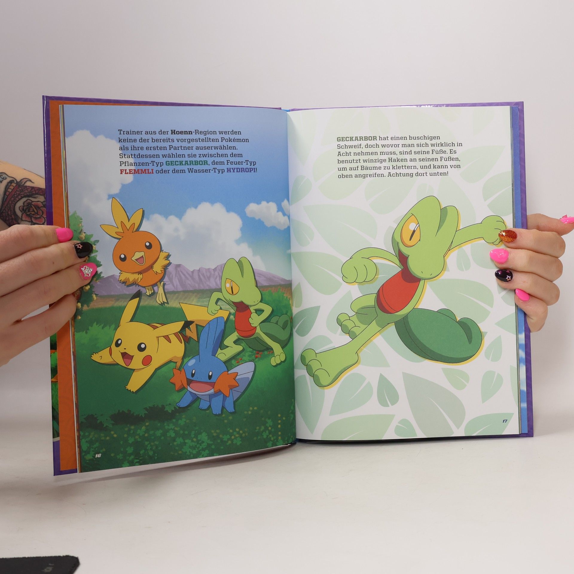 Kolektív autorov Pokémon. Mein tolles Pokémon-Buch
