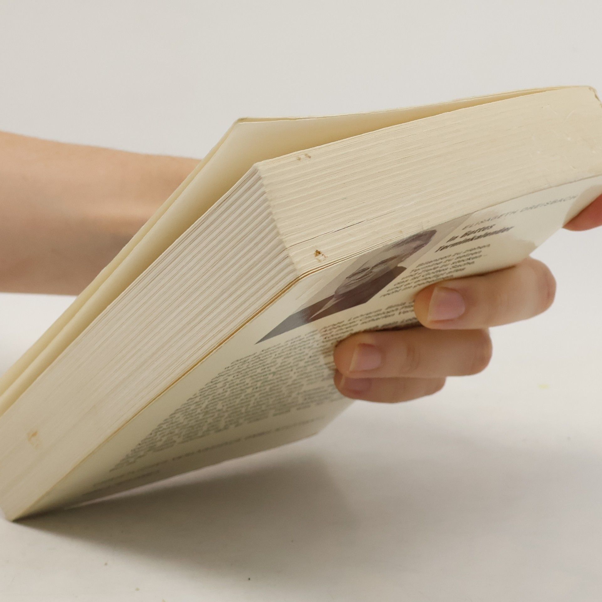 Elisabeth Dreisbach In Gottes Terminkalender
