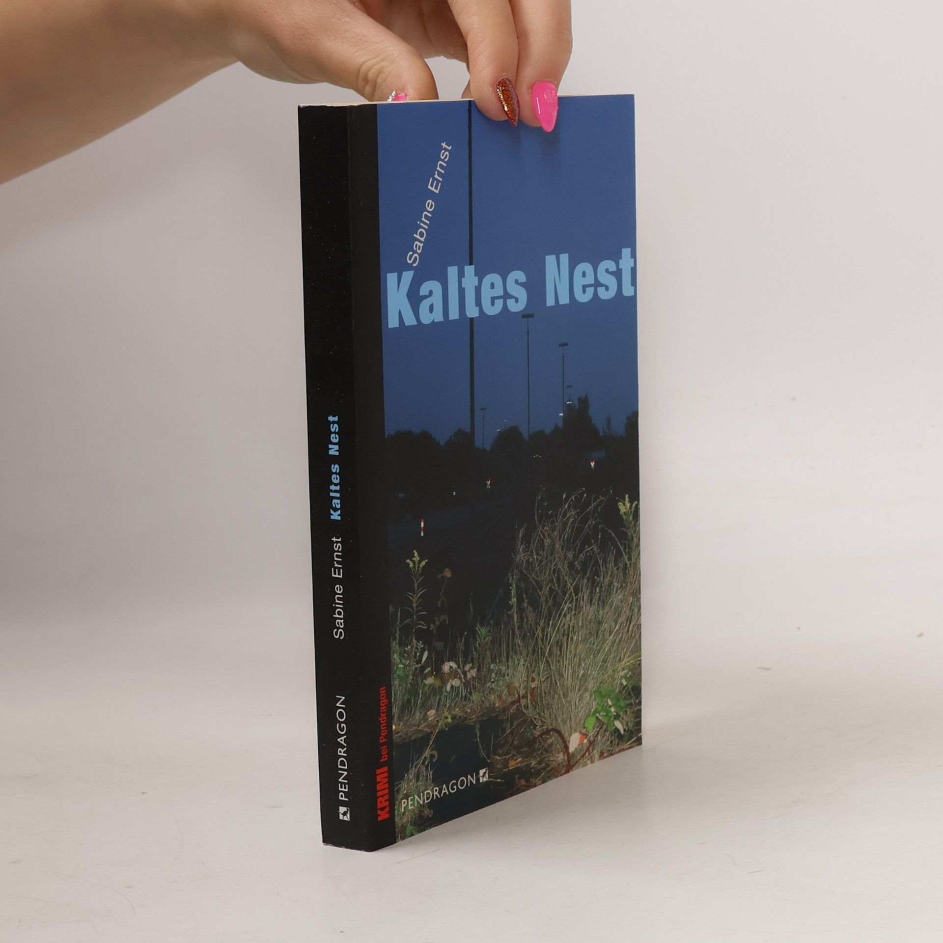 Sabine Ernst Kaltes Nest