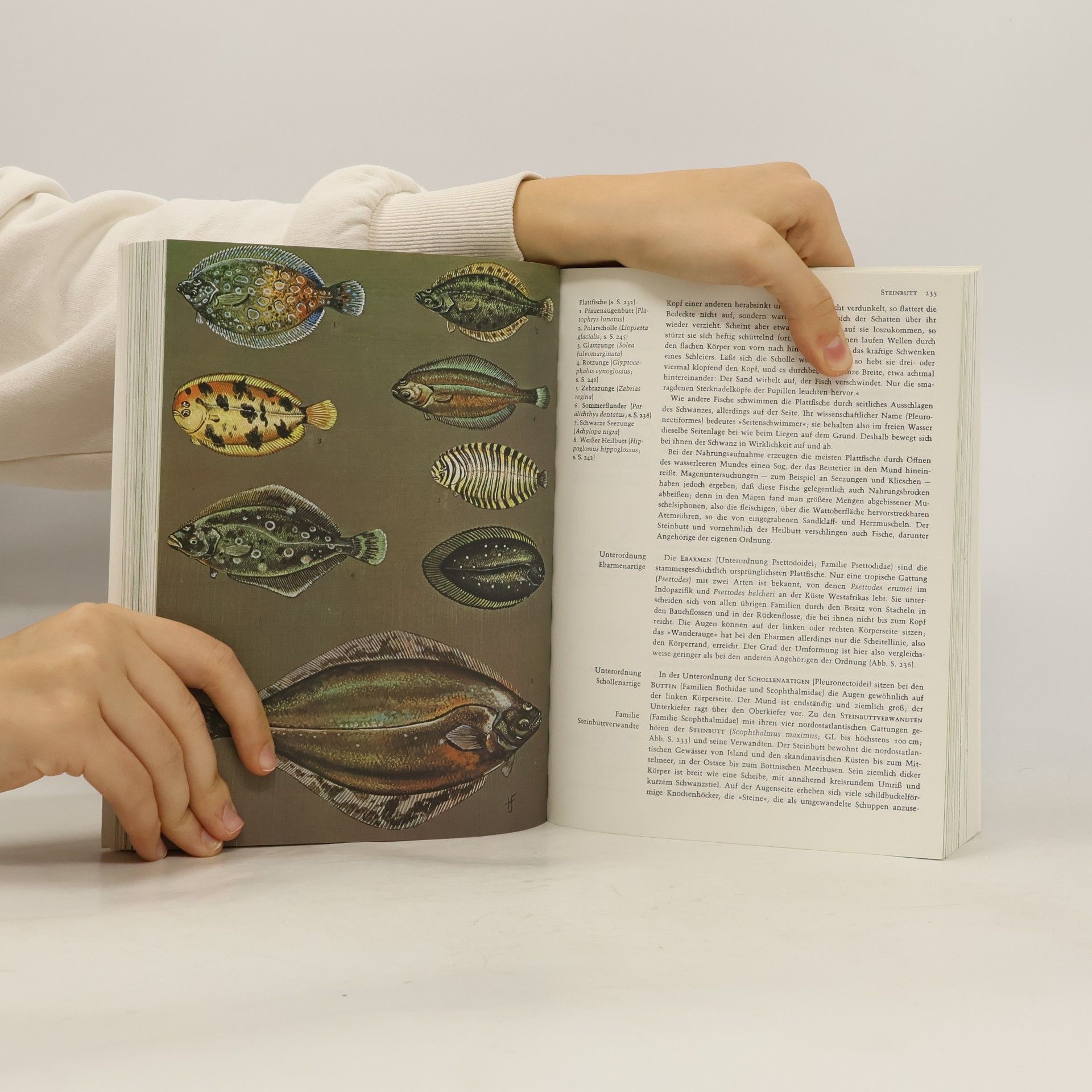 Autores varios Grzimeks Tierleben 5. Fische 2 - Lurche