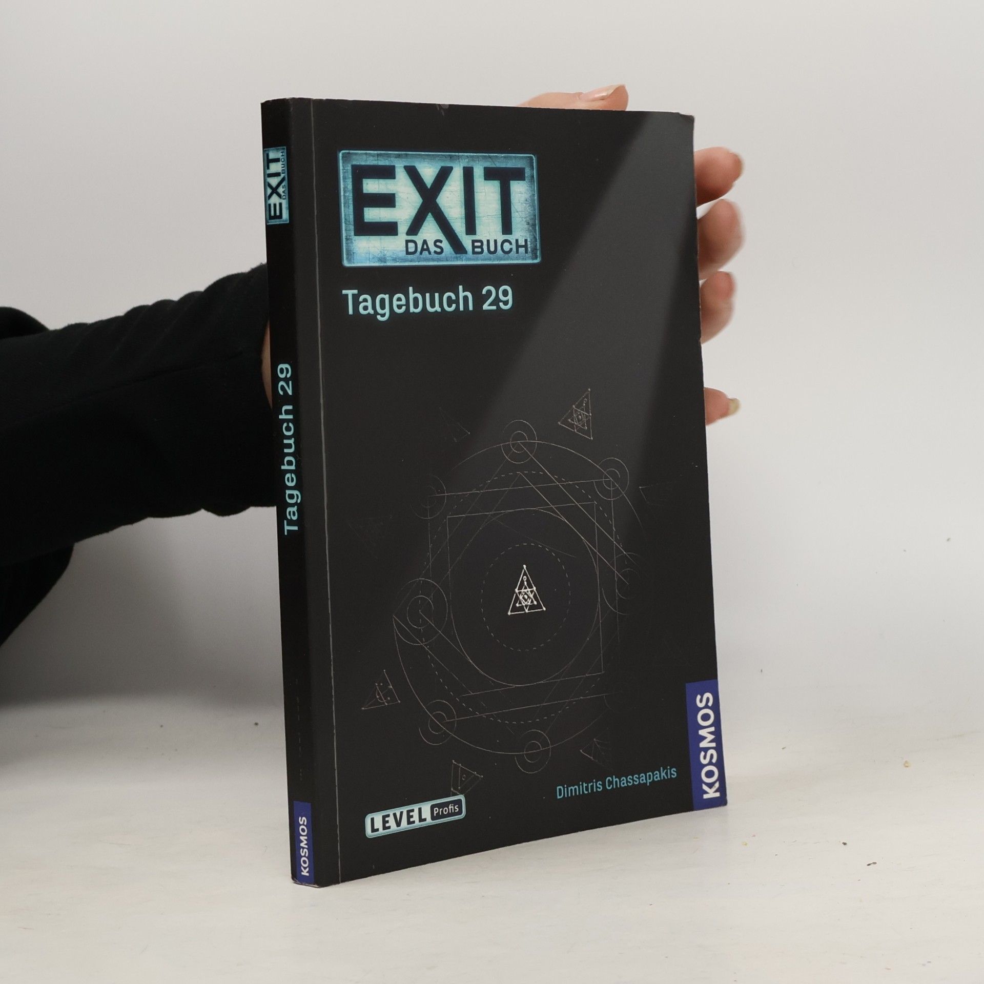 Dimitris Chassapakis Tagebuch 29
