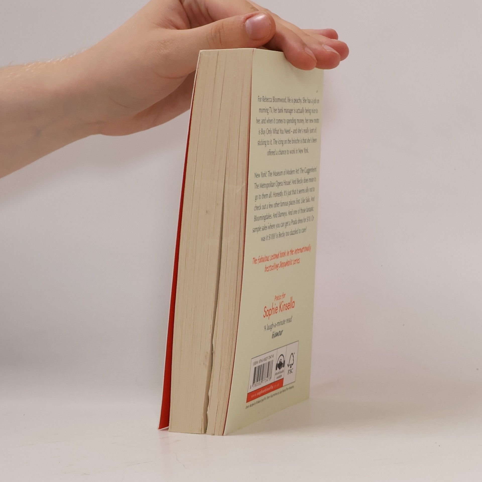 Sophie Kinsella Shopaholic Abroad