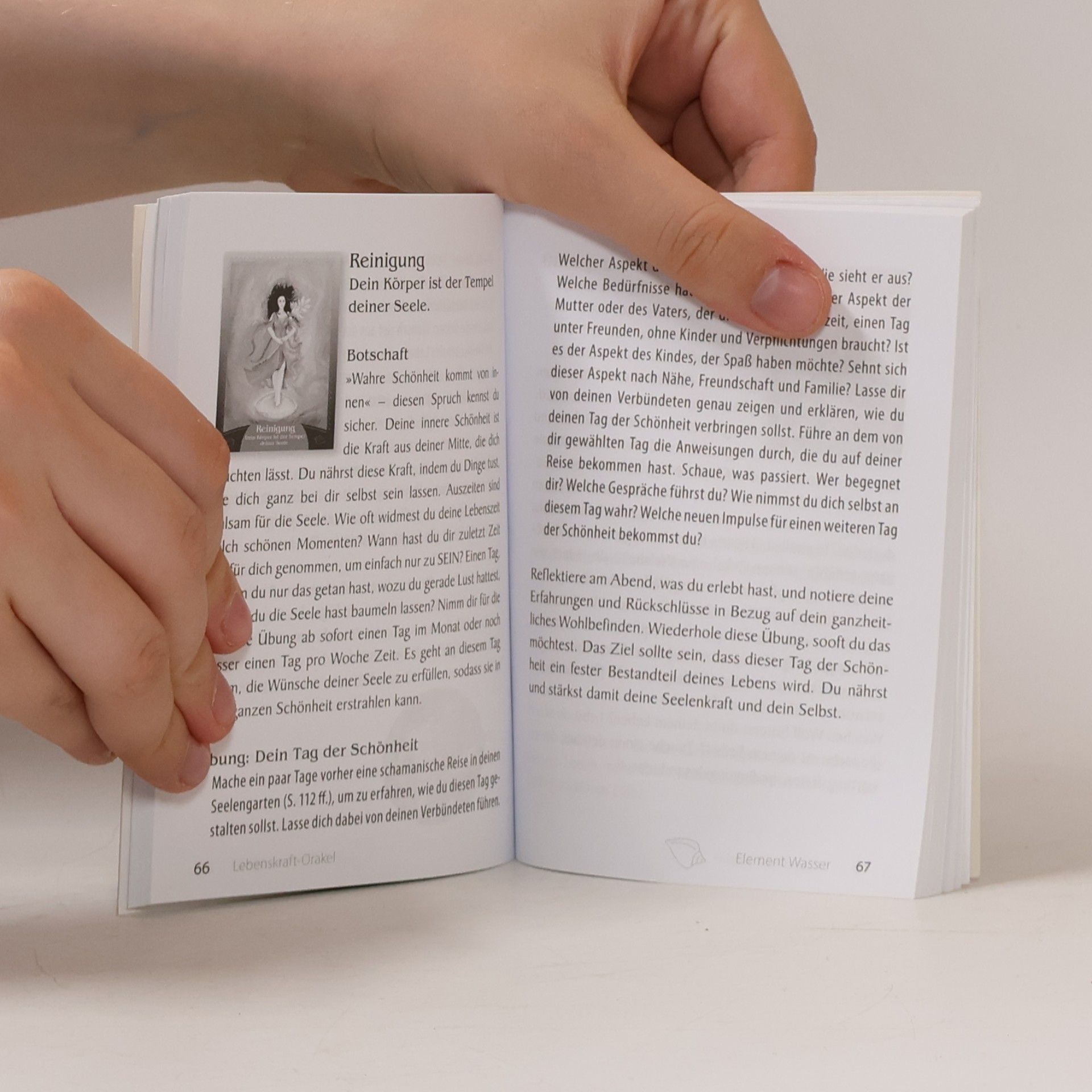 Sabrina Dengel Lebenskraft-Orakel. Schamanisches Praxiskartenset - Kartenset, 46 Karten mit Begleitbuch
