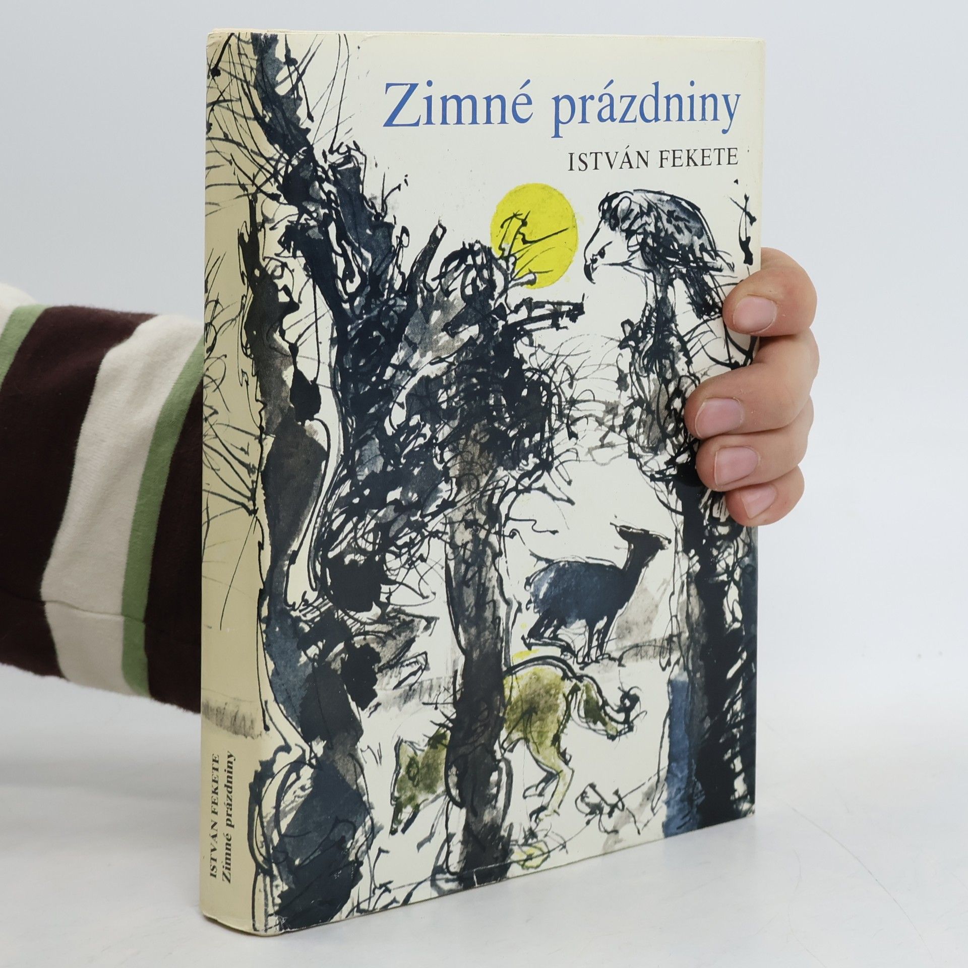 István Fekete Zimné prázdniny