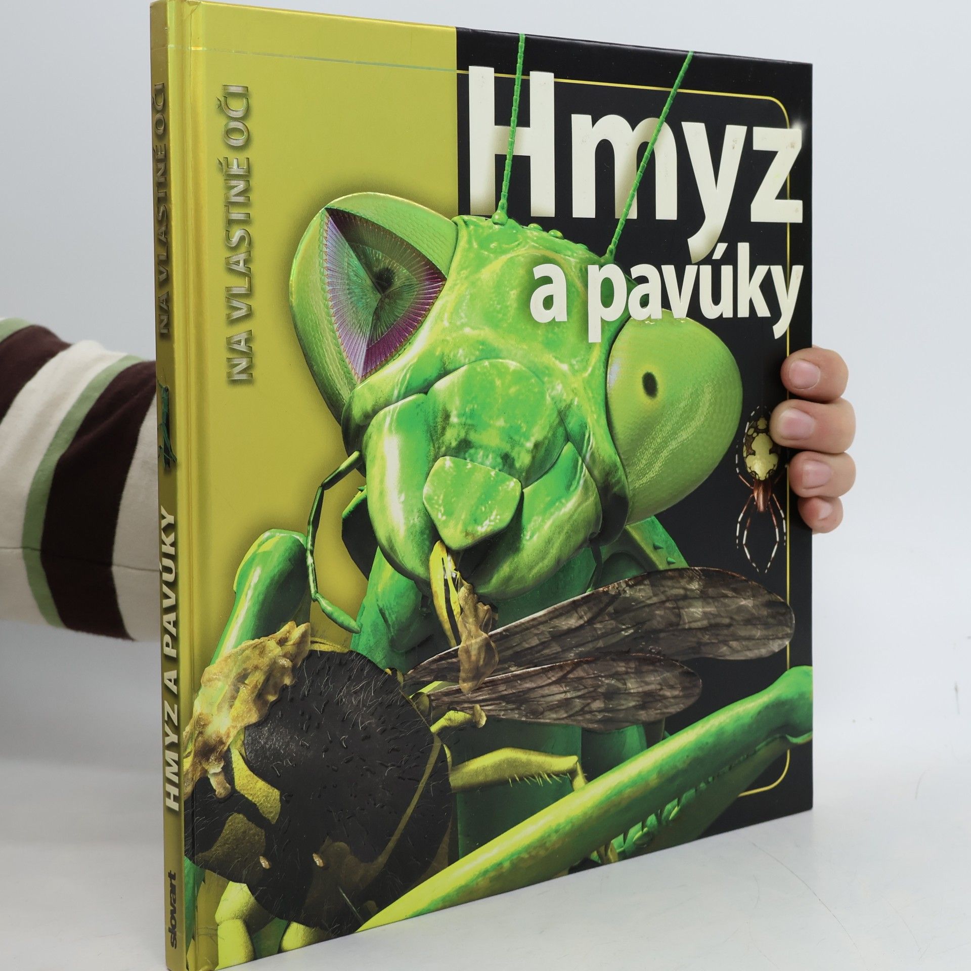 Autorenkollektiv Hmyz a pavúky