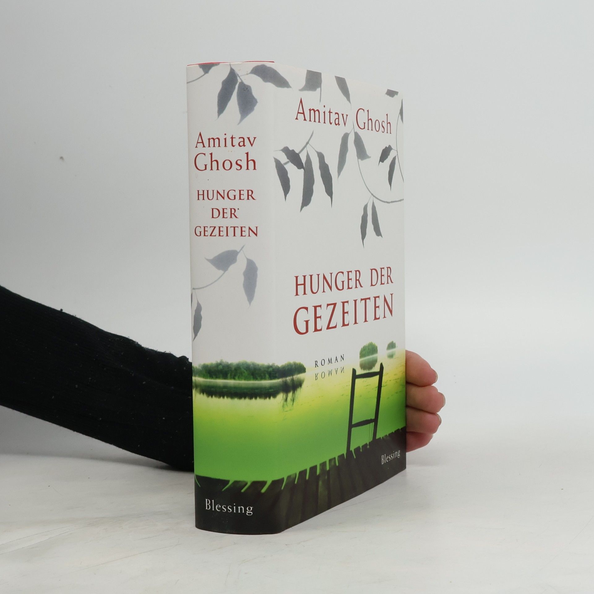 Amitav Ghosh Hunger der Gezeiten