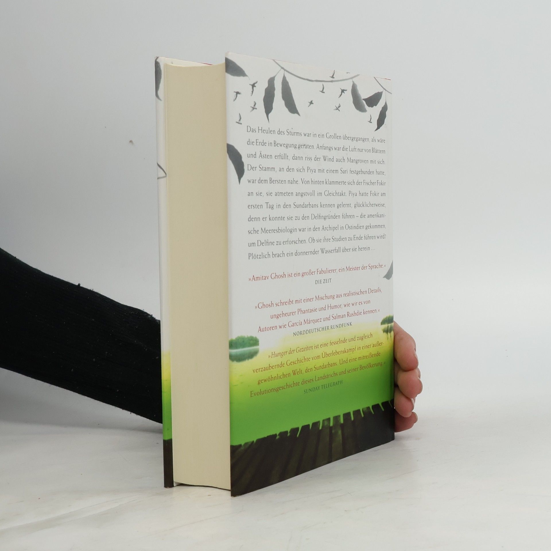 Amitav Ghosh Hunger der Gezeiten