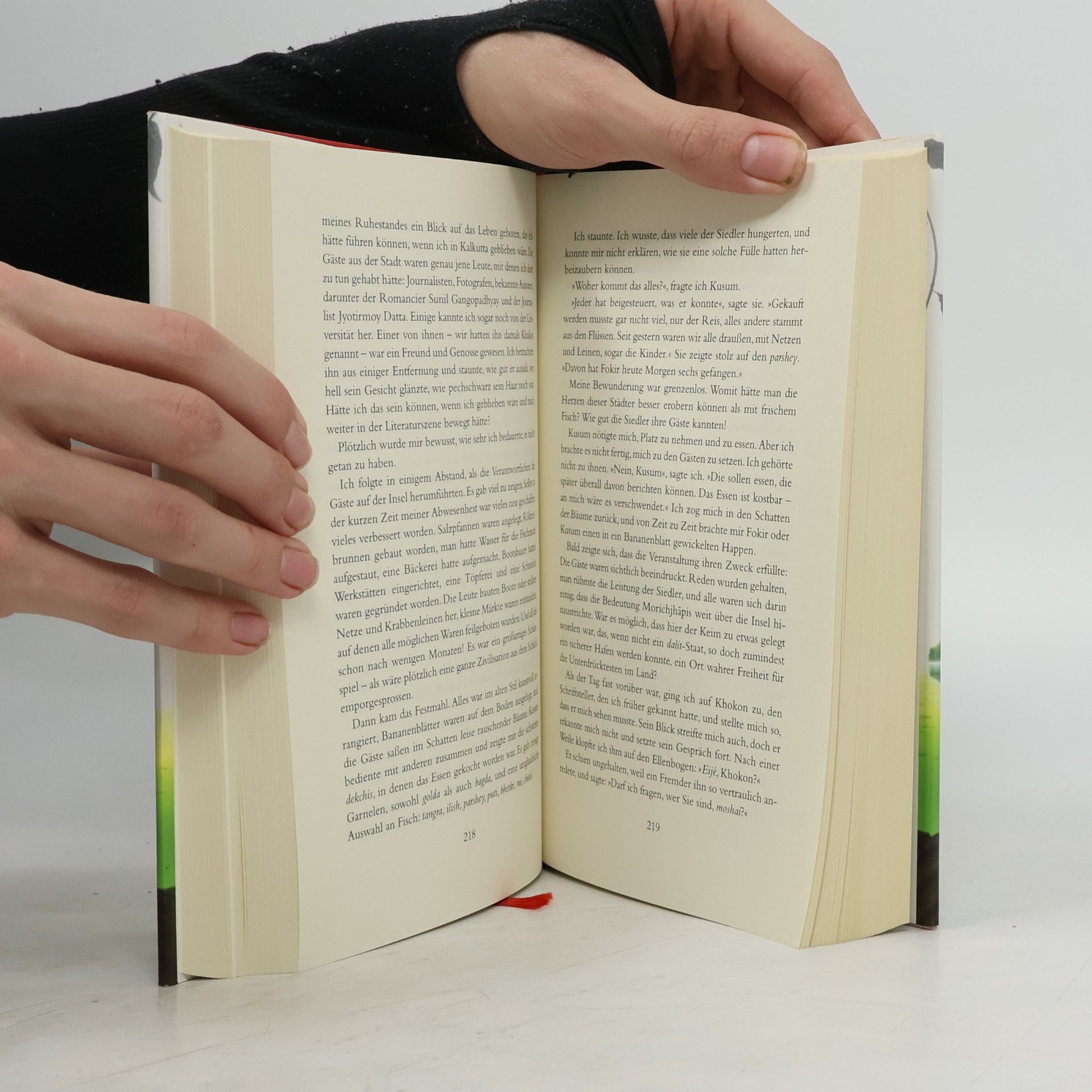 Amitav Ghosh Hunger der Gezeiten