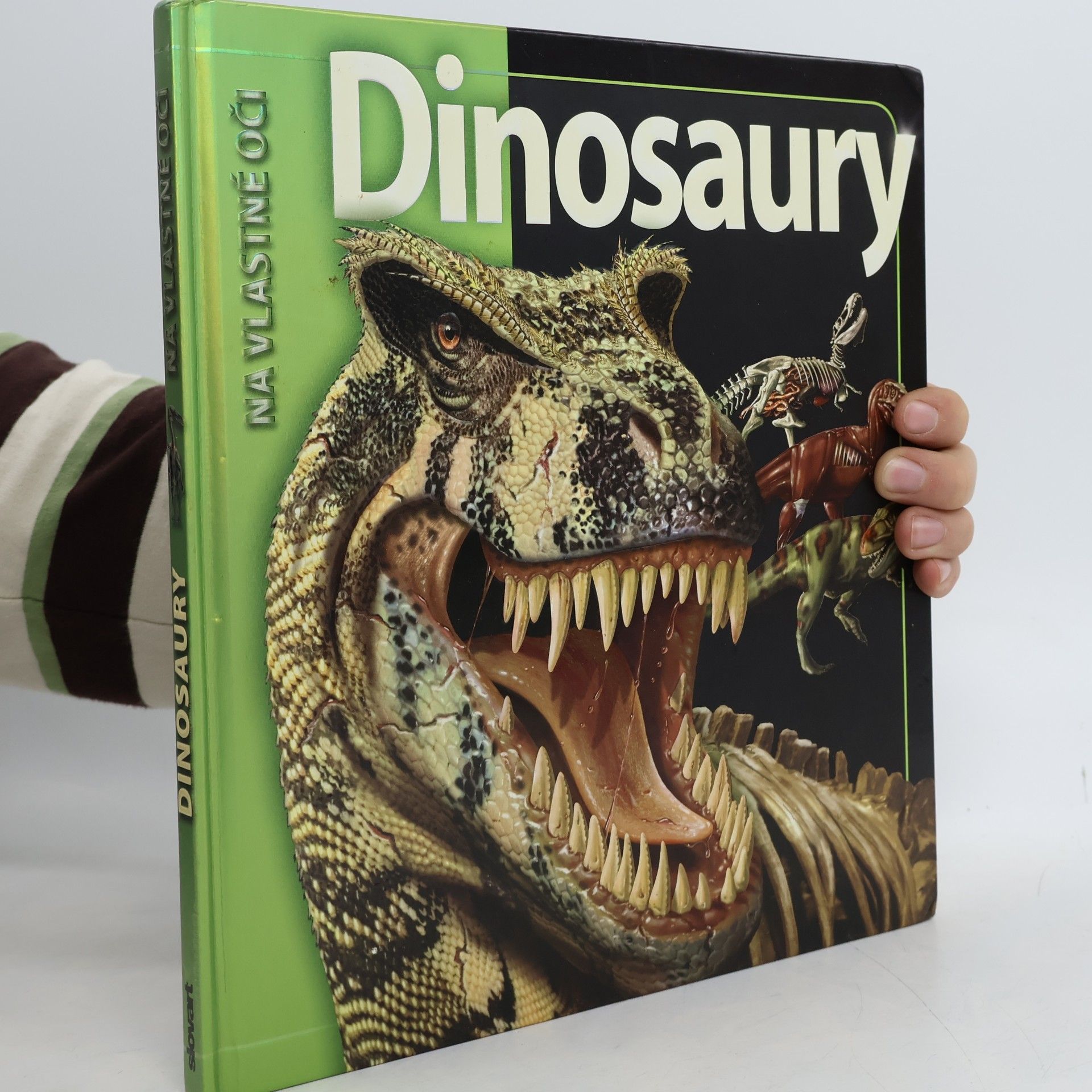 kolektiv Dinosaury