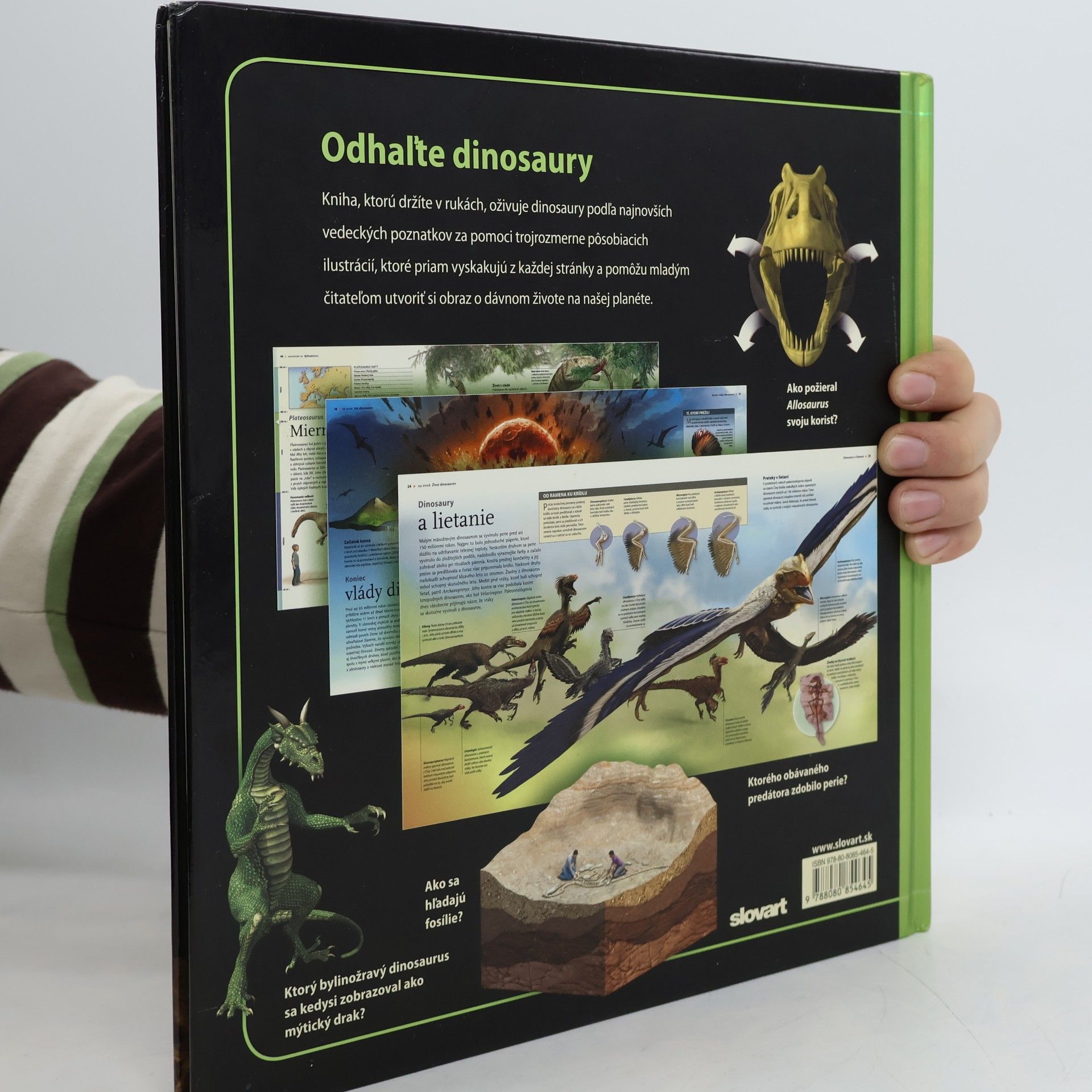 kolektiv Dinosaury